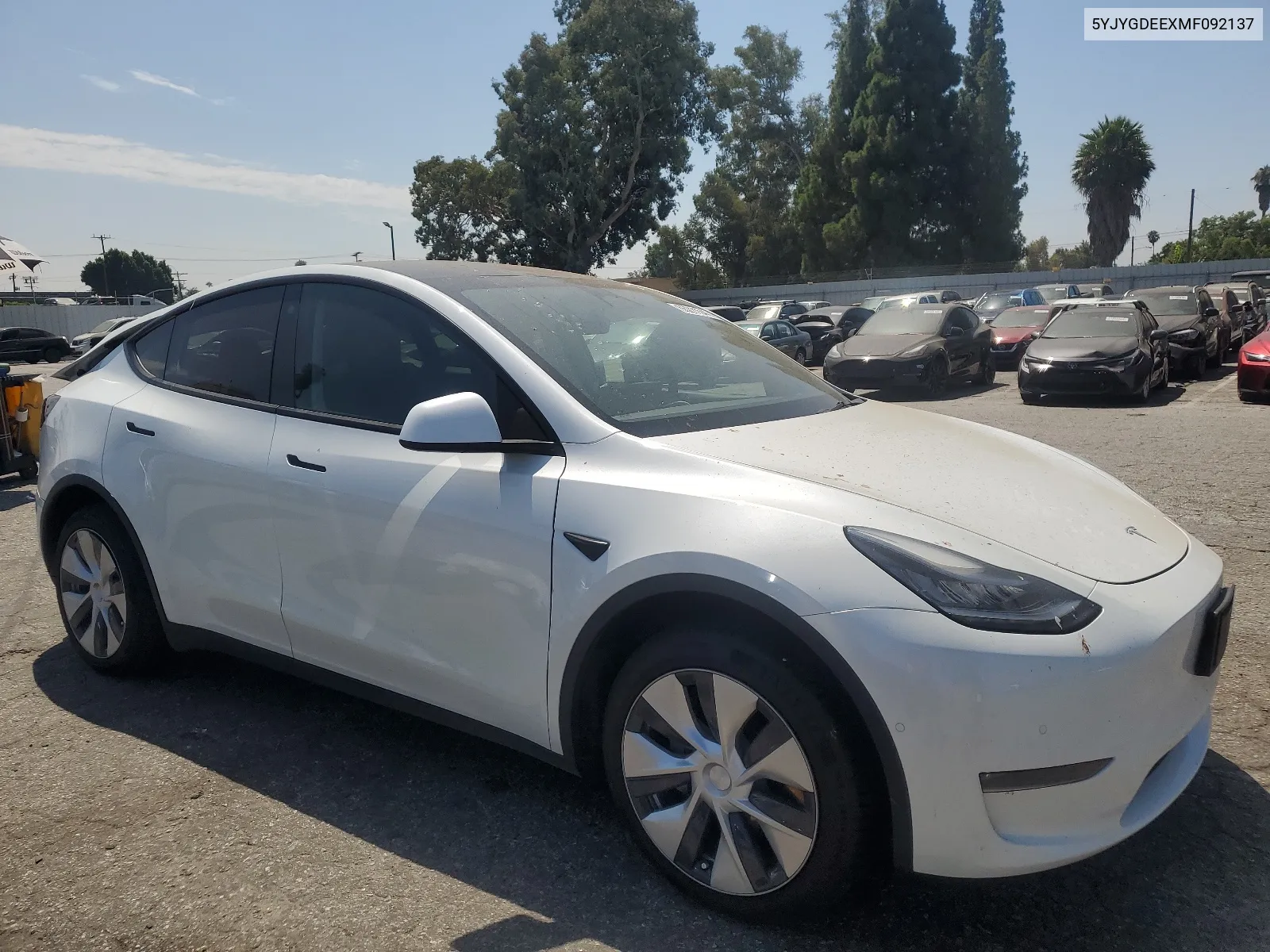 2021 Tesla Model Y VIN: 5YJYGDEEXMF092137 Lot: 66211544