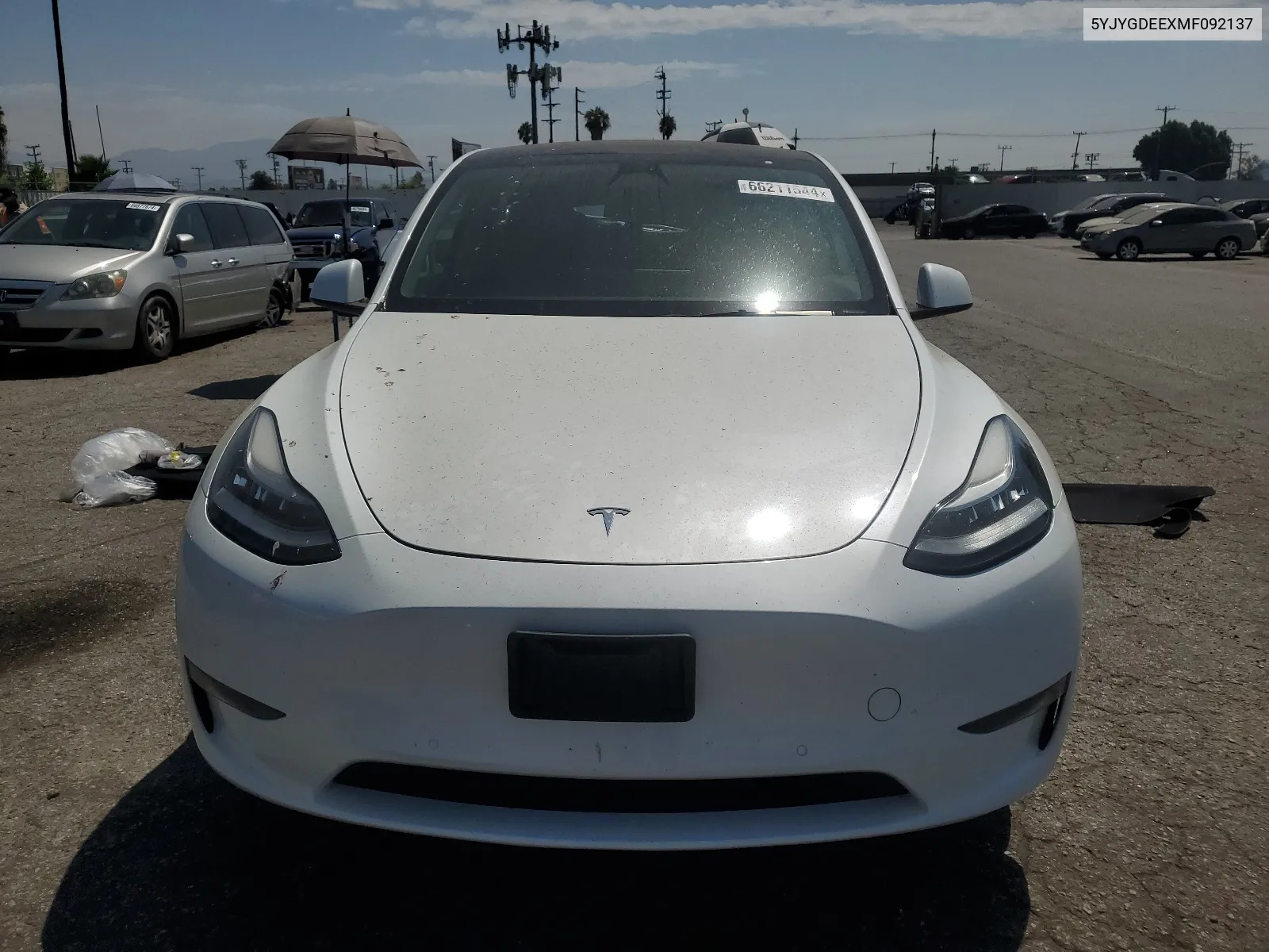 2021 Tesla Model Y VIN: 5YJYGDEEXMF092137 Lot: 66211544