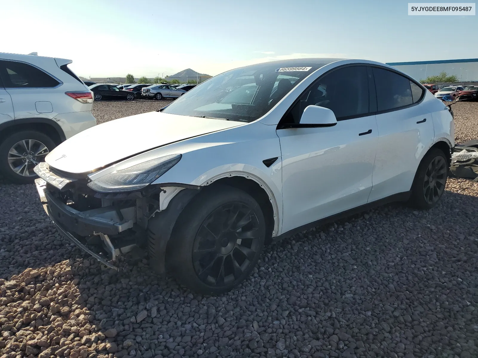 2021 Tesla Model Y VIN: 5YJYGDEE8MF095487 Lot: 66599564