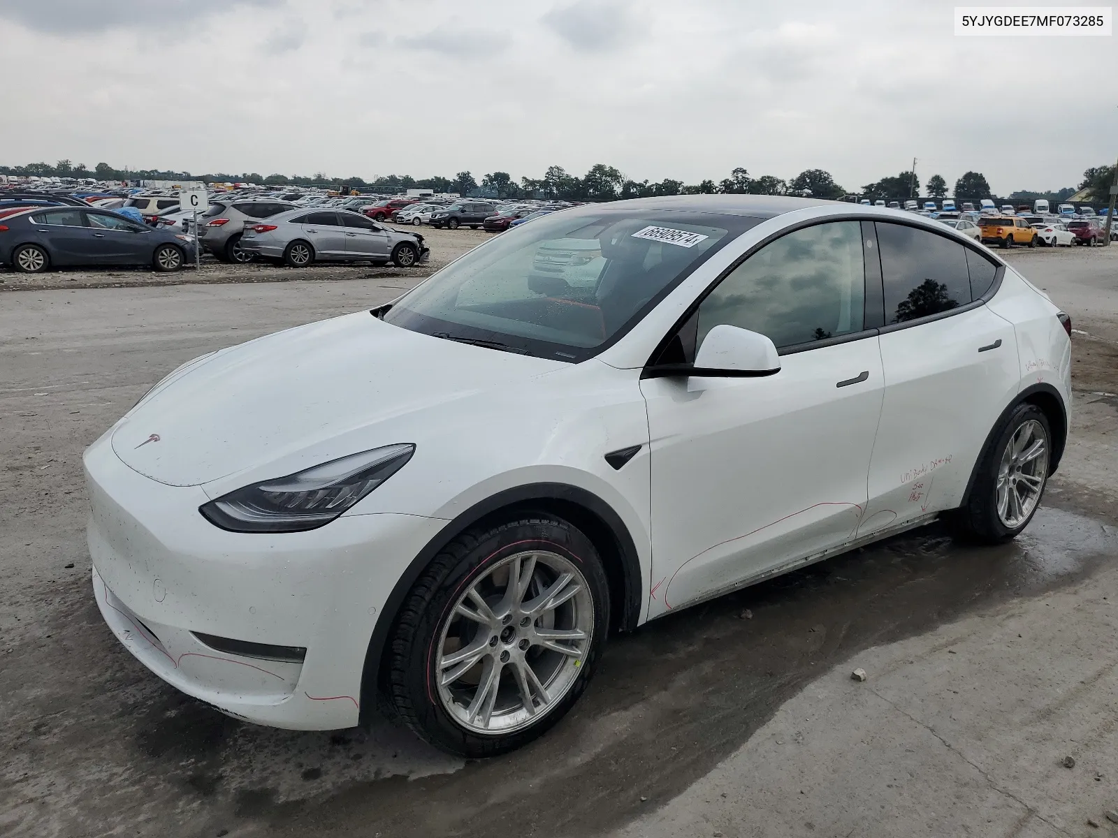 2021 Tesla Model Y VIN: 5YJYGDEE7MF073285 Lot: 66909574