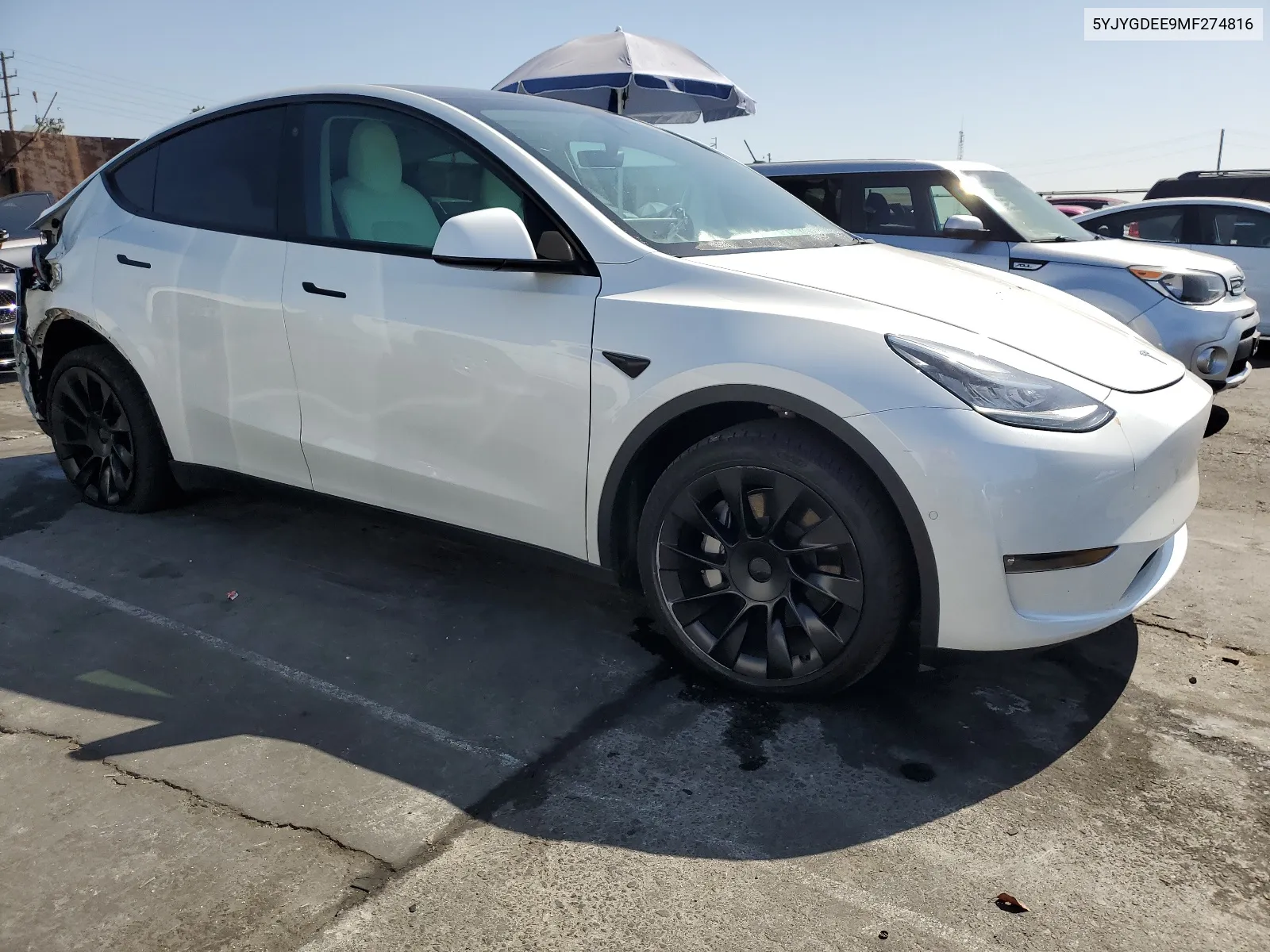 2021 Tesla Model Y VIN: 5YJYGDEE9MF274816 Lot: 66933364