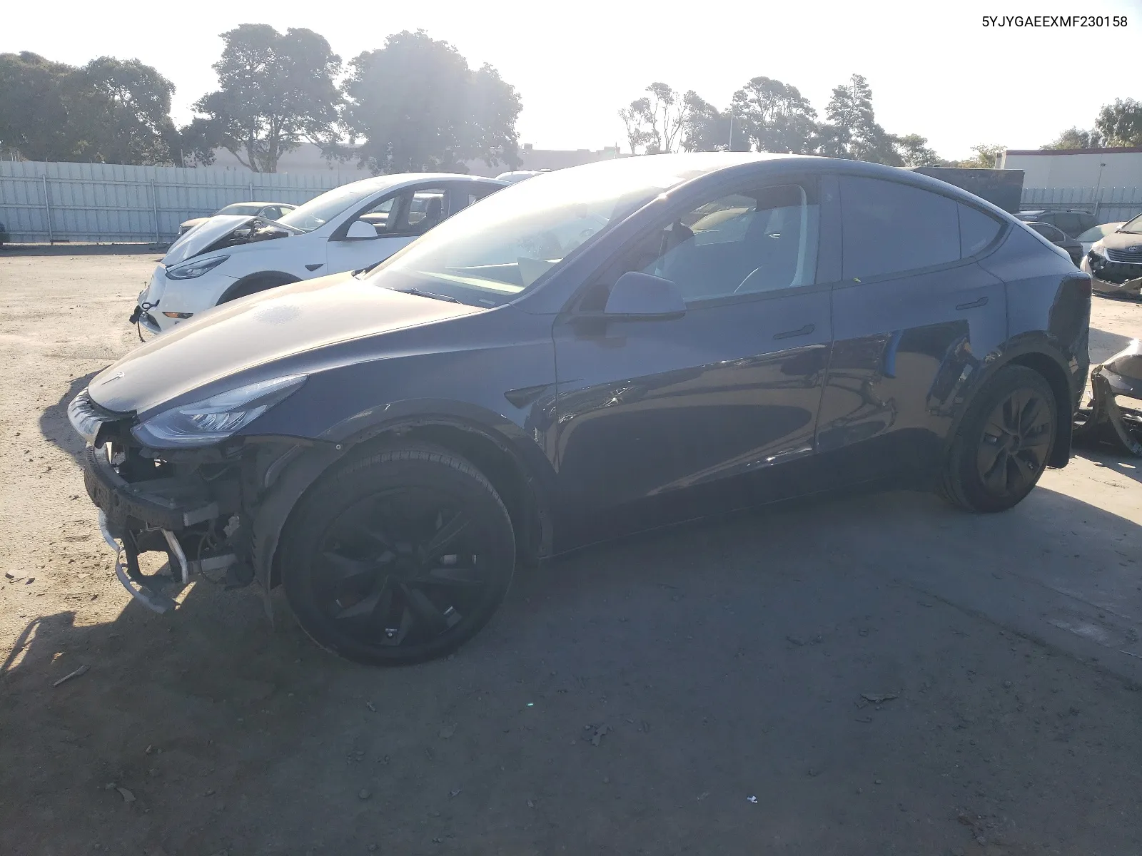 2021 Tesla Model Y VIN: 5YJYGAEEXMF230158 Lot: 66947484