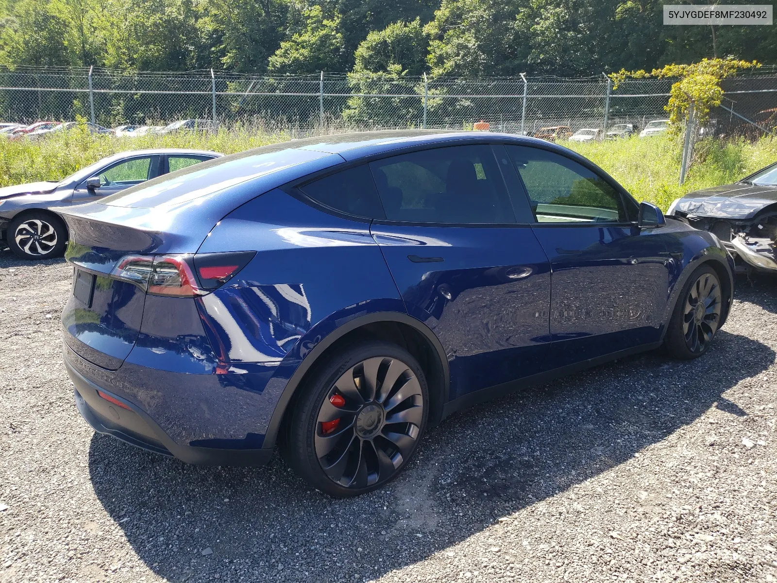 2021 Tesla Model Y VIN: 5YJYGDEF8MF230492 Lot: 67045534