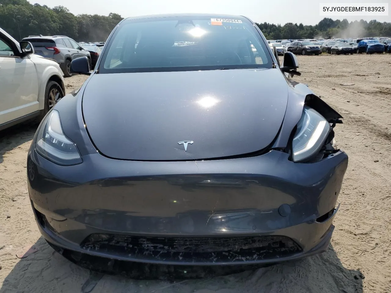 2021 Tesla Model Y VIN: 5YJYGDEE8MF183925 Lot: 67350944