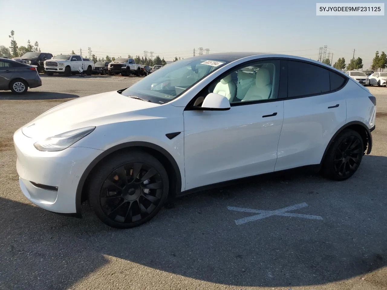 2021 Tesla Model Y VIN: 5YJYGDEE9MF231125 Lot: 68057094