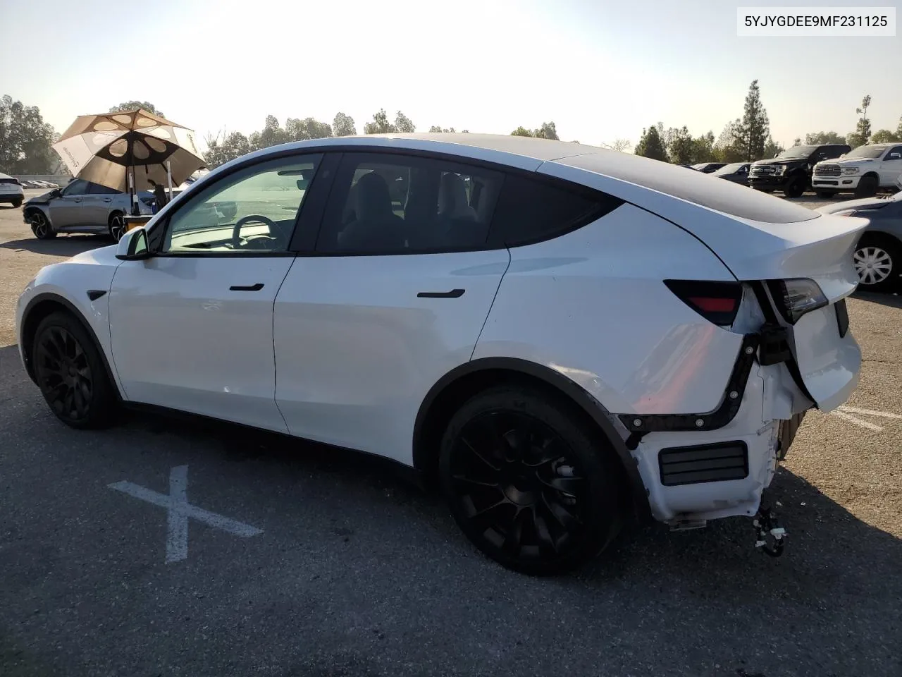 5YJYGDEE9MF231125 2021 Tesla Model Y