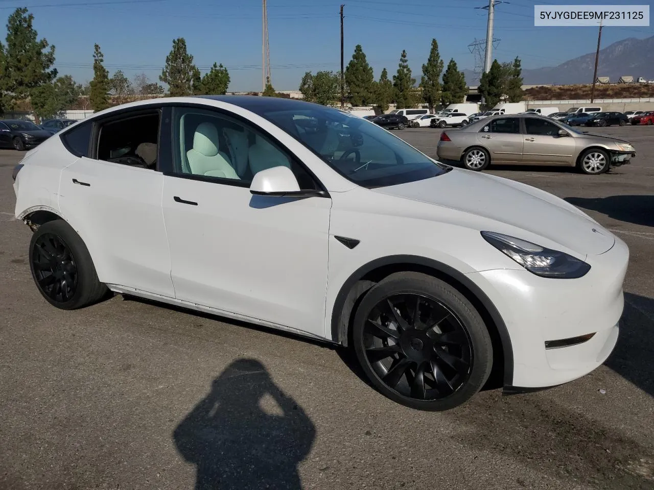 2021 Tesla Model Y VIN: 5YJYGDEE9MF231125 Lot: 68057094