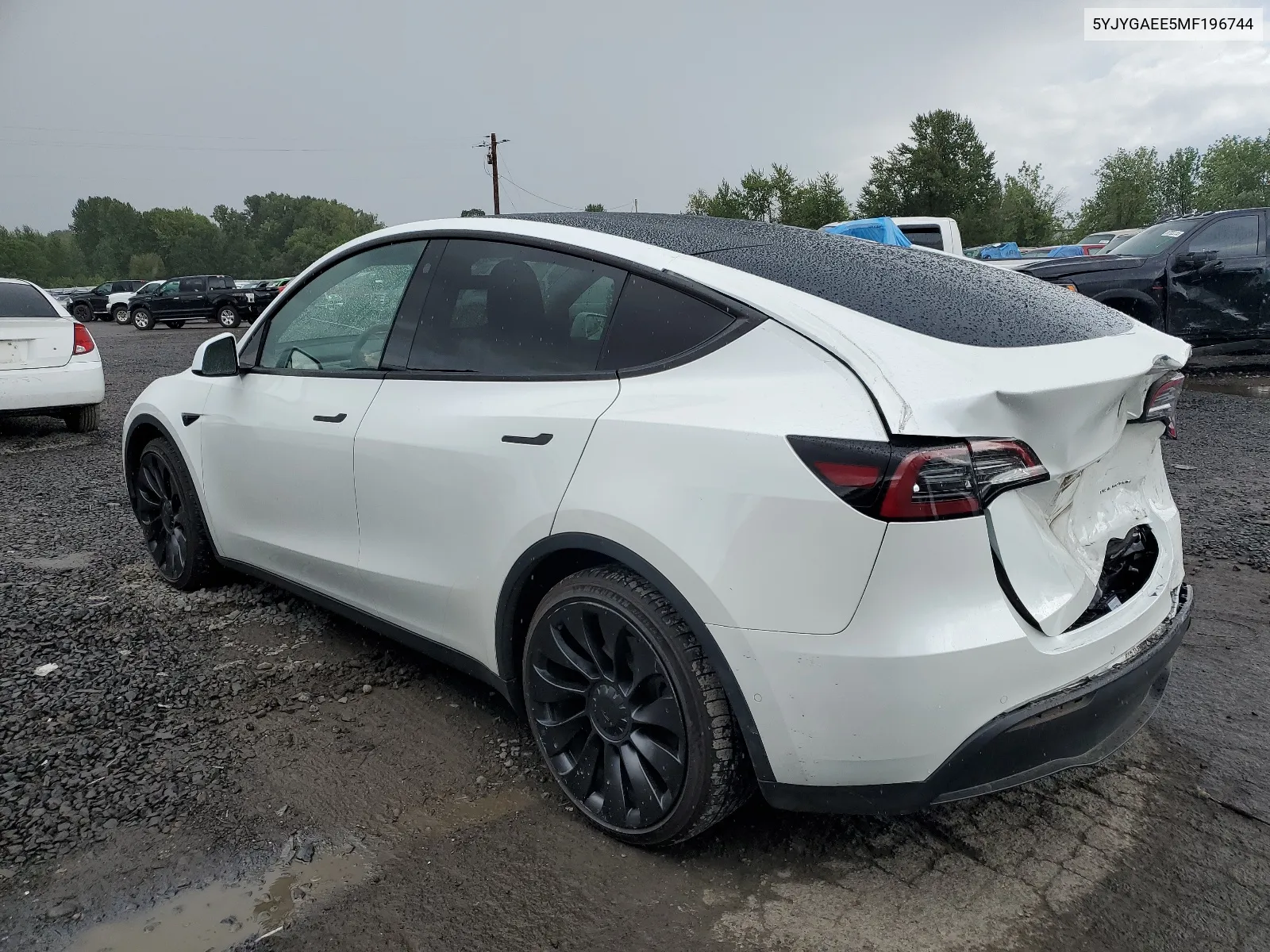 2021 Tesla Model Y VIN: 5YJYGAEE5MF196744 Lot: 69033984