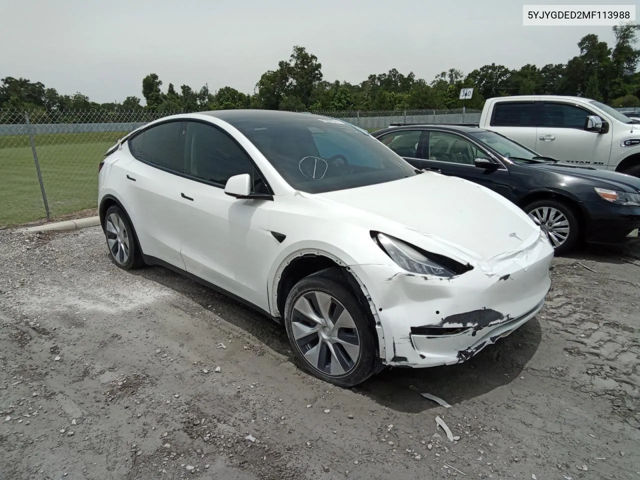 5YJYGDED2MF113988 2021 Tesla Model Y