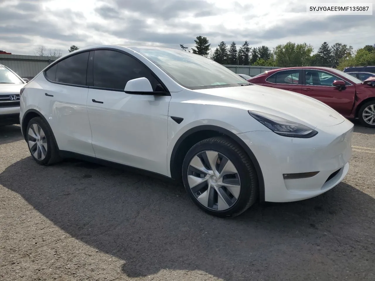 2021 Tesla Model Y VIN: 5YJYGAEE9MF135087 Lot: 69446374