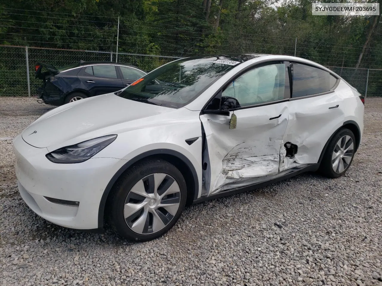 2021 Tesla Model Y VIN: 5YJYGDEE9MF203695 Lot: 69501304