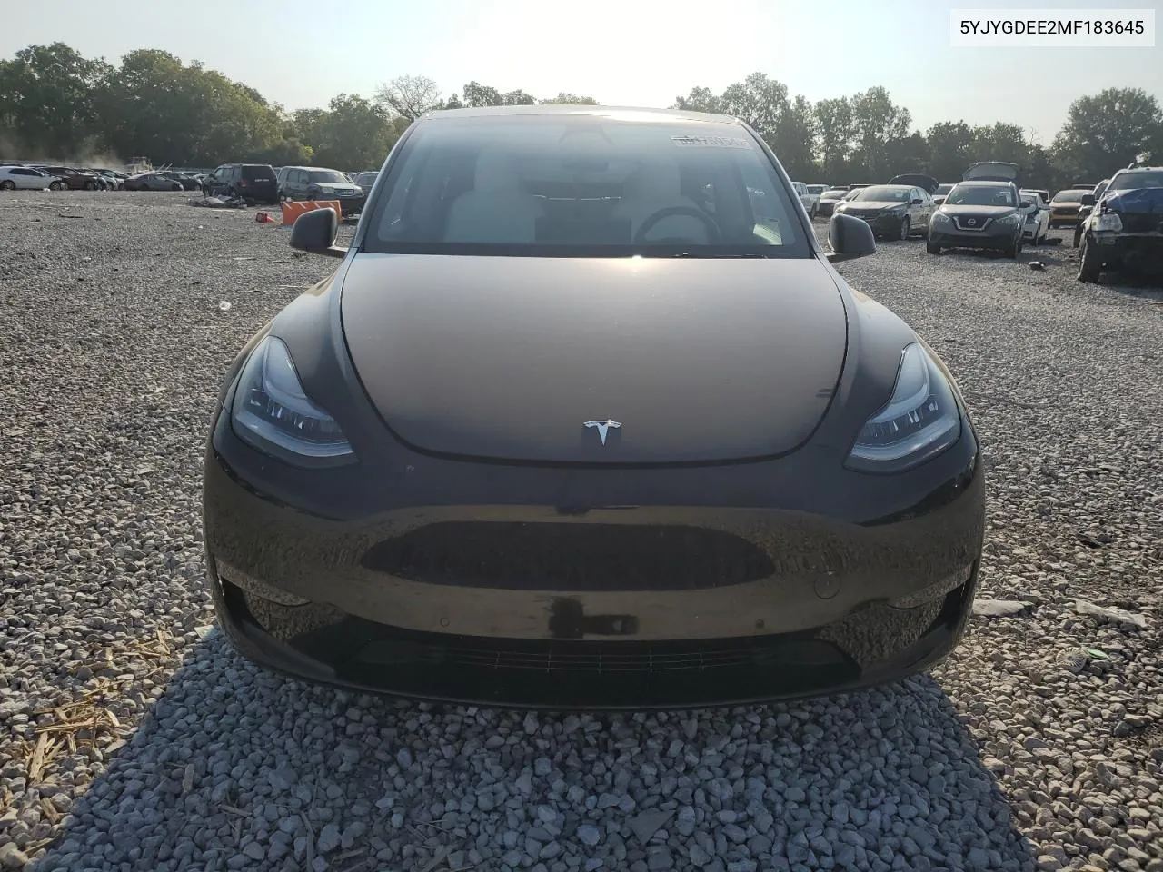 2021 Tesla Model Y VIN: 5YJYGDEE2MF183645 Lot: 69656004