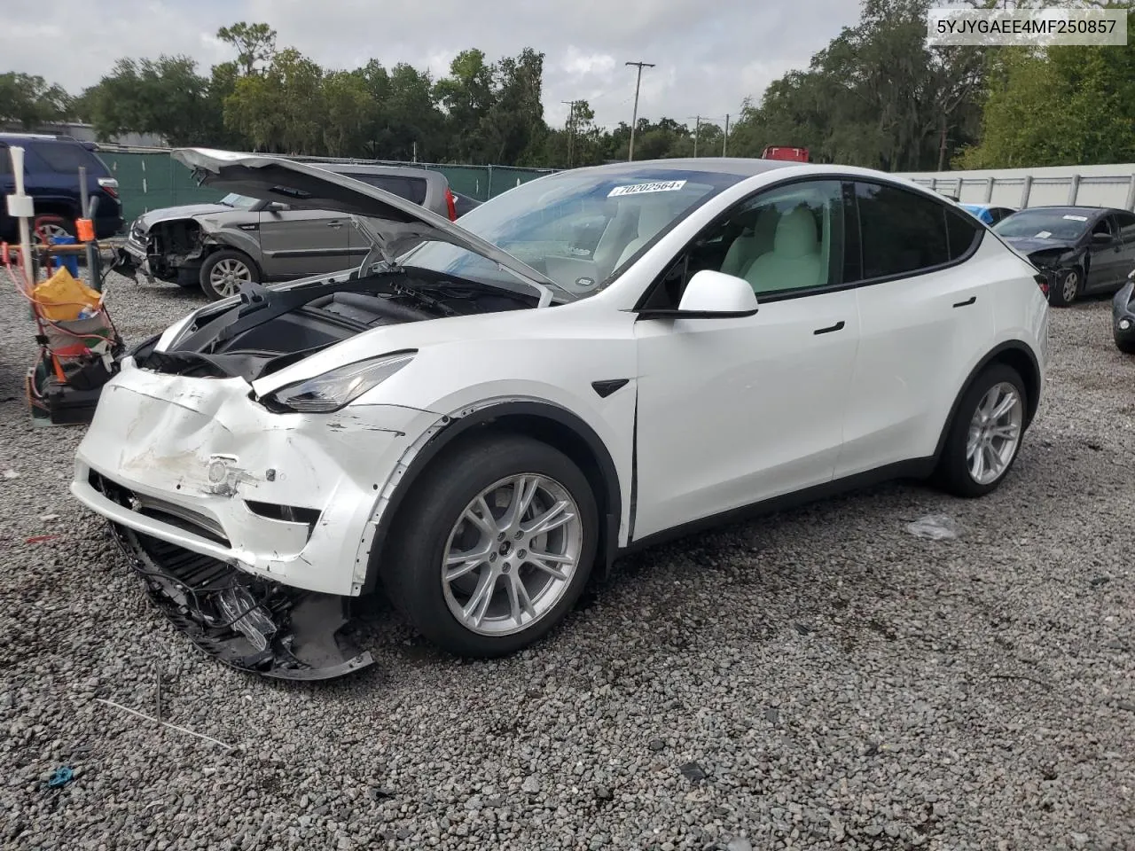 5YJYGAEE4MF250857 2021 Tesla Model Y