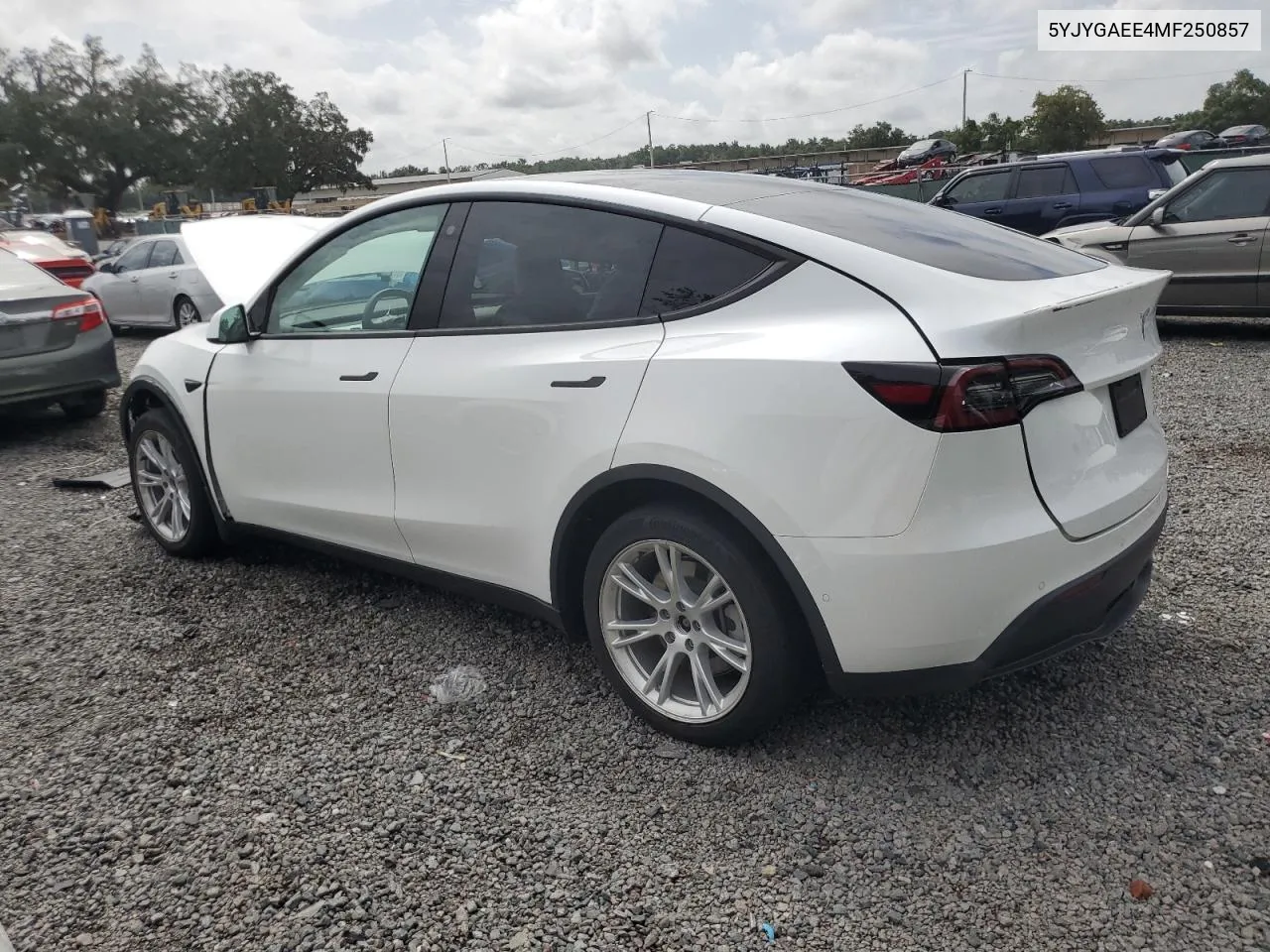 5YJYGAEE4MF250857 2021 Tesla Model Y