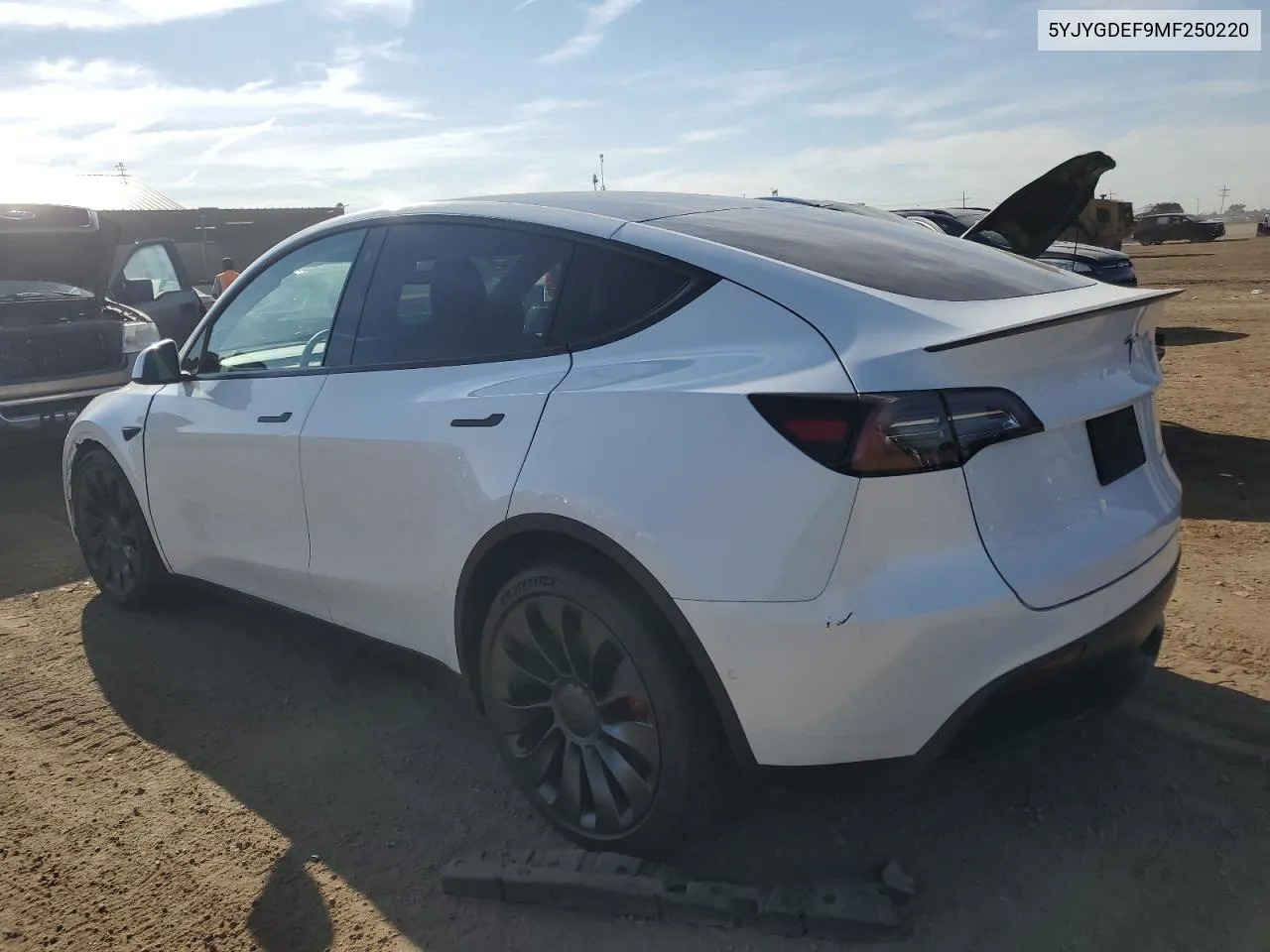 5YJYGDEF9MF250220 2021 Tesla Model Y