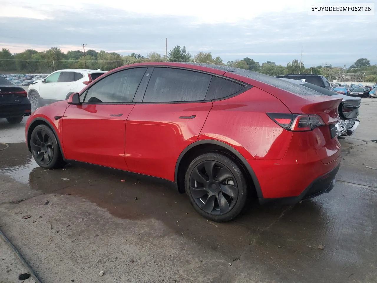 5YJYGDEE9MF062126 2021 Tesla Model Y