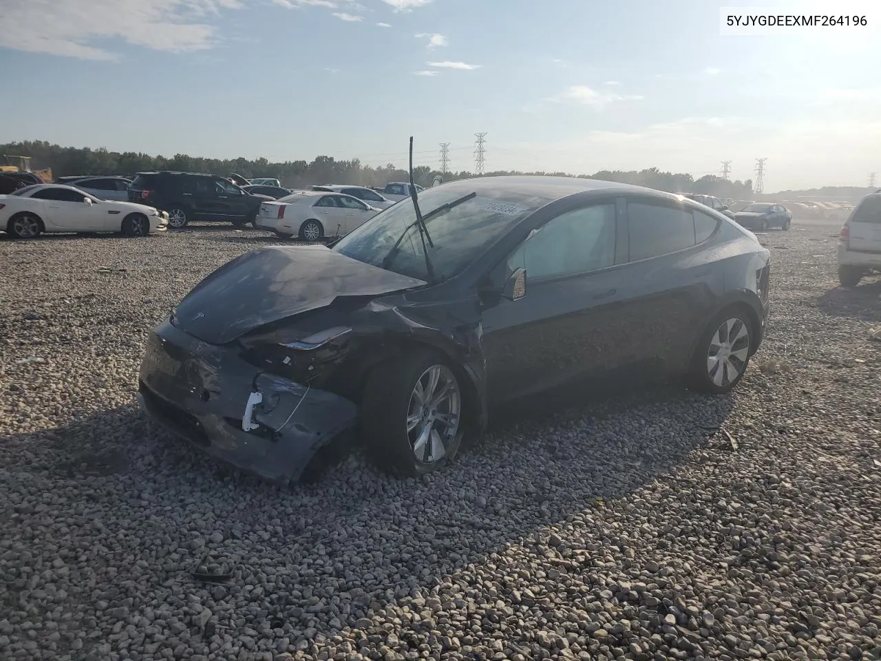 2021 Tesla Model Y VIN: 5YJYGDEEXMF264196 Lot: 72429234