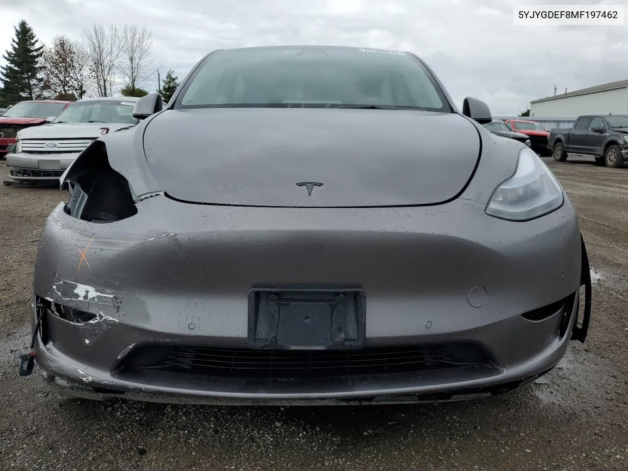 2021 Tesla Model Y VIN: 5YJYGDEF8MF197462 Lot: 72506074