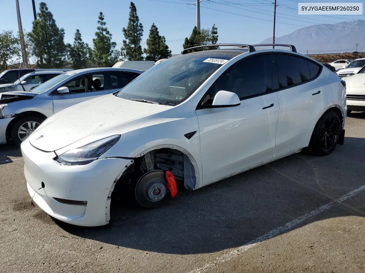 2021 Tesla Model Y VIN: 5YJYGAEE5MF260250 Lot: 72535124