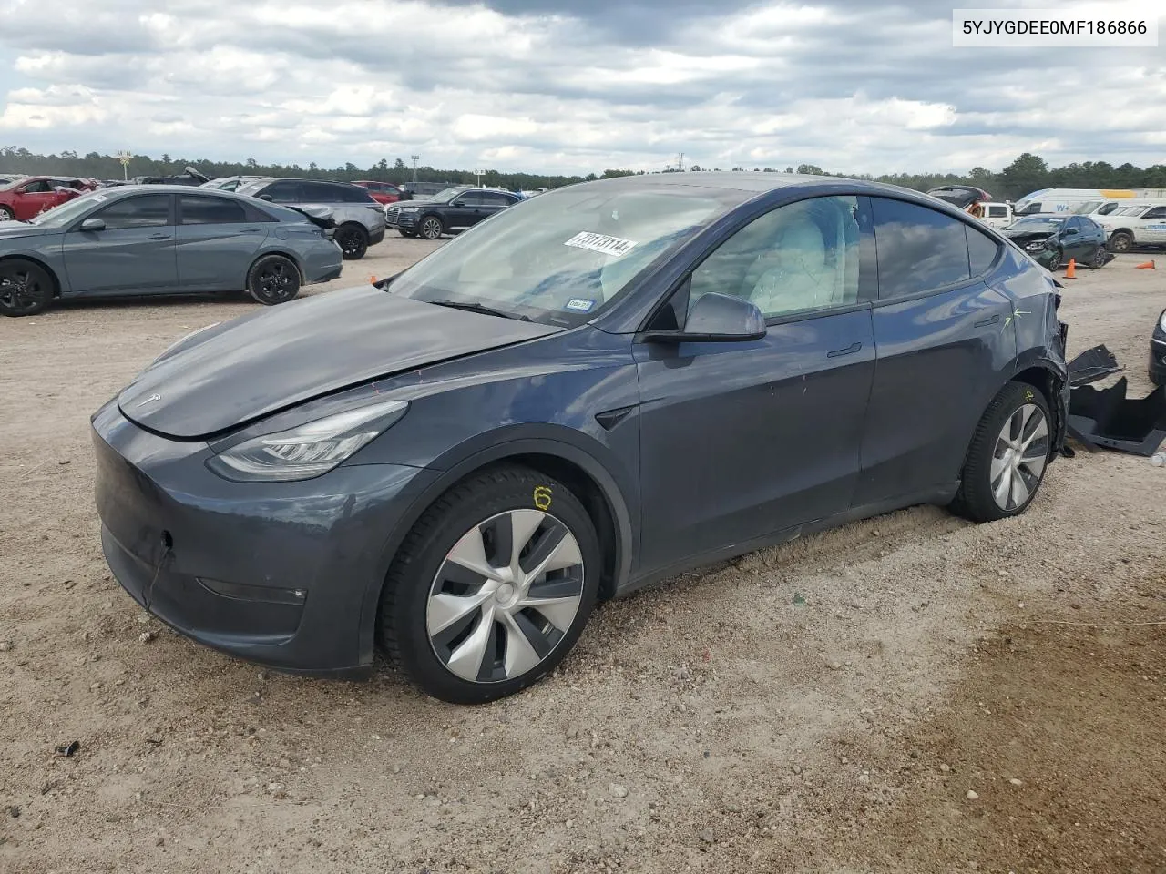 2021 Tesla Model Y VIN: 5YJYGDEE0MF186866 Lot: 73173114