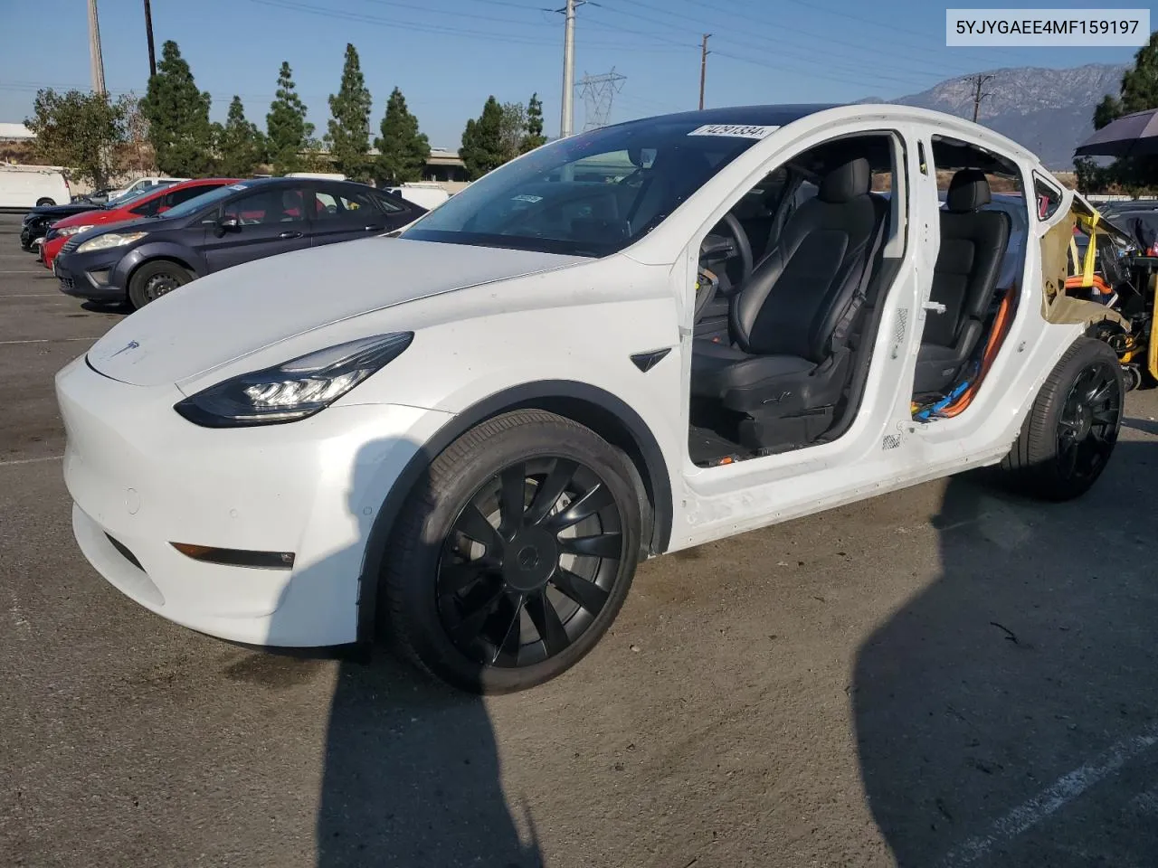 2021 Tesla Model Y VIN: 5YJYGAEE4MF159197 Lot: 74291334