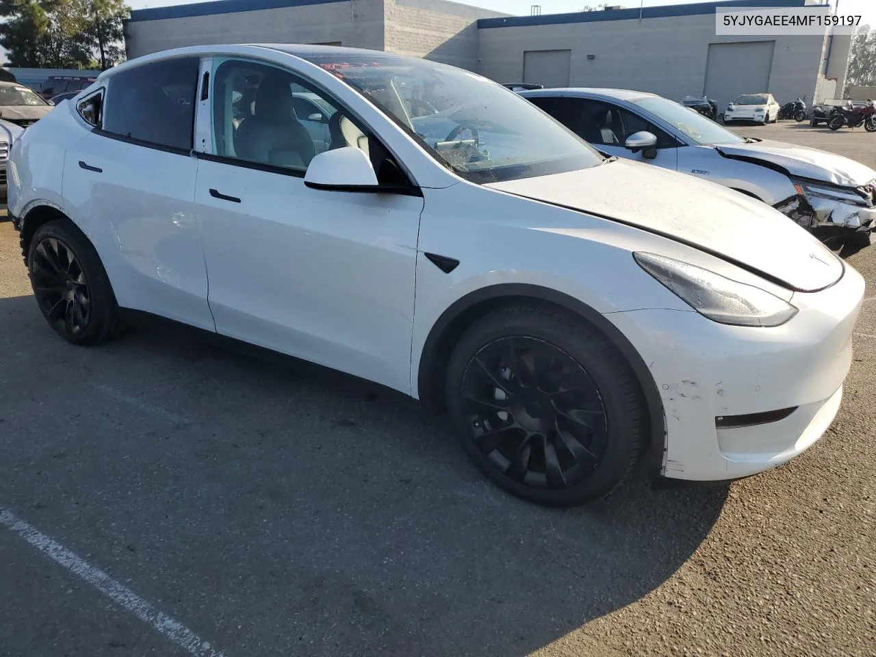 2021 Tesla Model Y VIN: 5YJYGAEE4MF159197 Lot: 74291334