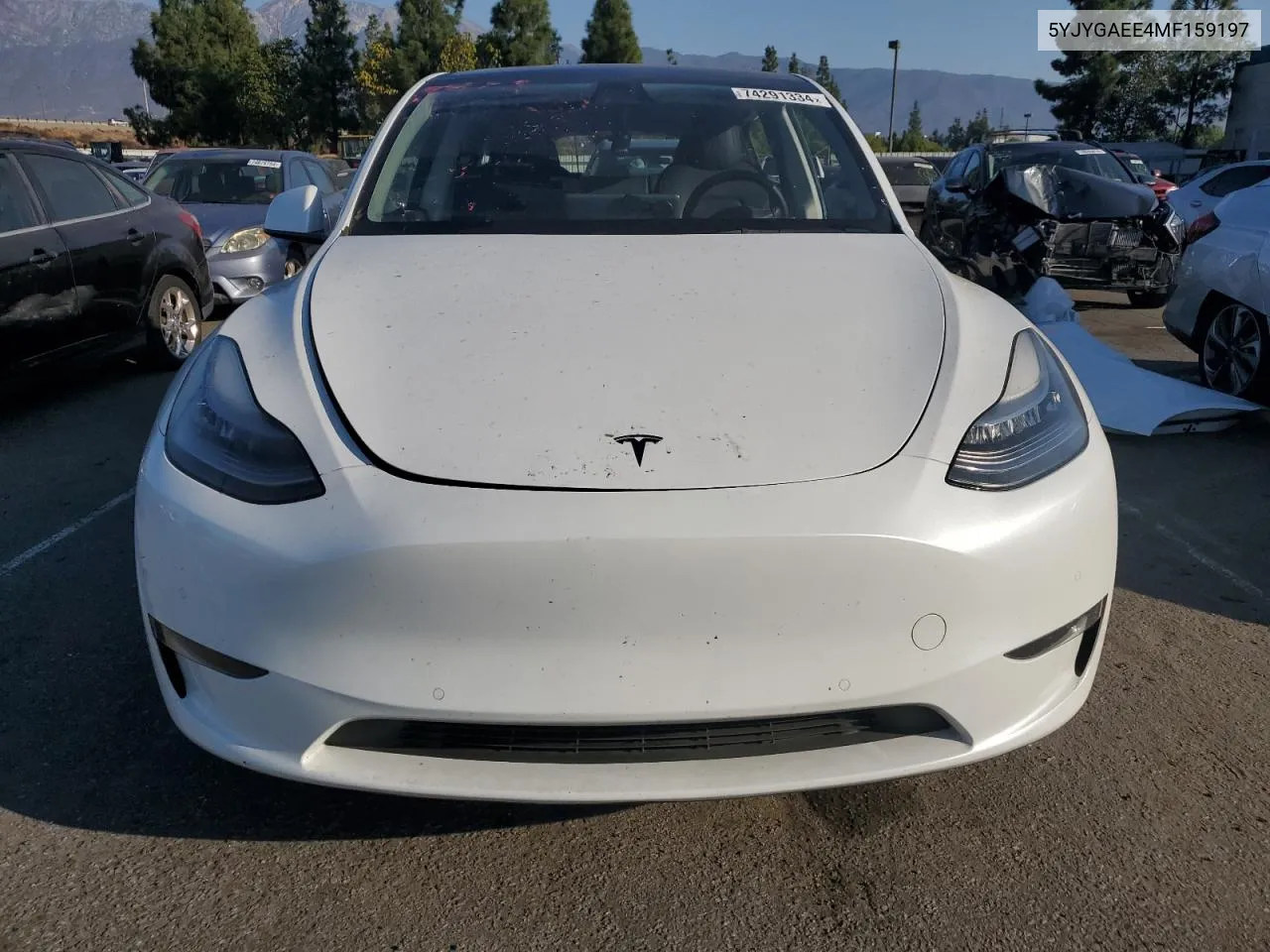 2021 Tesla Model Y VIN: 5YJYGAEE4MF159197 Lot: 74291334