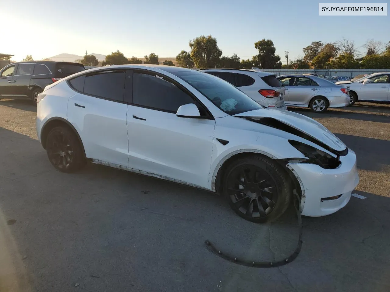 2021 Tesla Model Y VIN: 5YJYGAEE0MF196814 Lot: 74565154