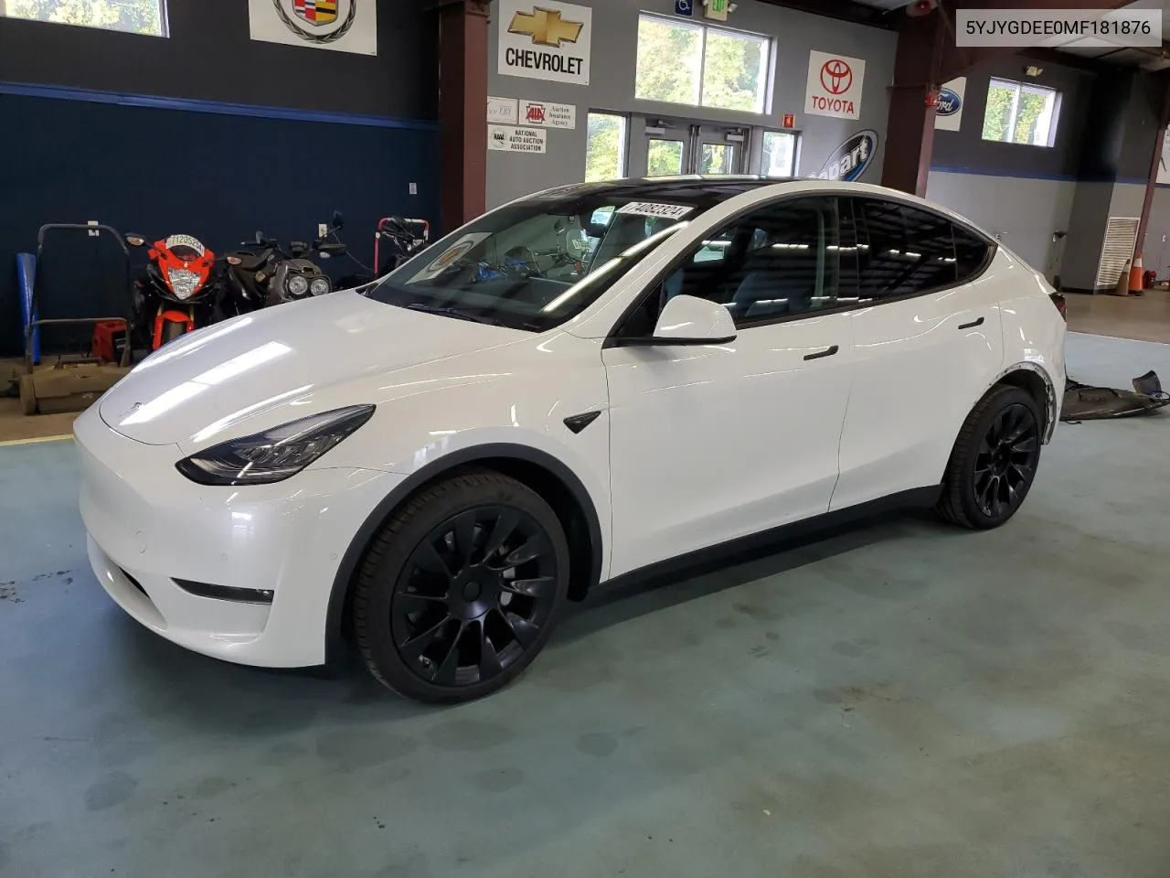 2021 Tesla Model Y VIN: 5YJYGDEE0MF181876 Lot: 74809714