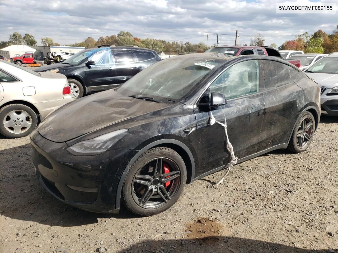 2021 Tesla Model Y VIN: 5YJYGDEF7MF089155 Lot: 74957804