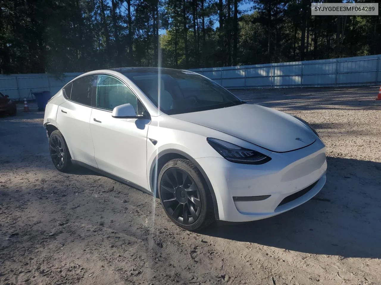 2021 Tesla Model Y VIN: 5YJYGDEE3MF064289 Lot: 75168794