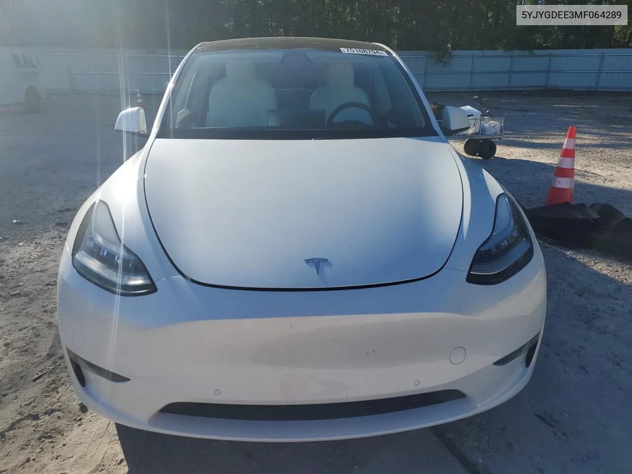 2021 Tesla Model Y VIN: 5YJYGDEE3MF064289 Lot: 75168794