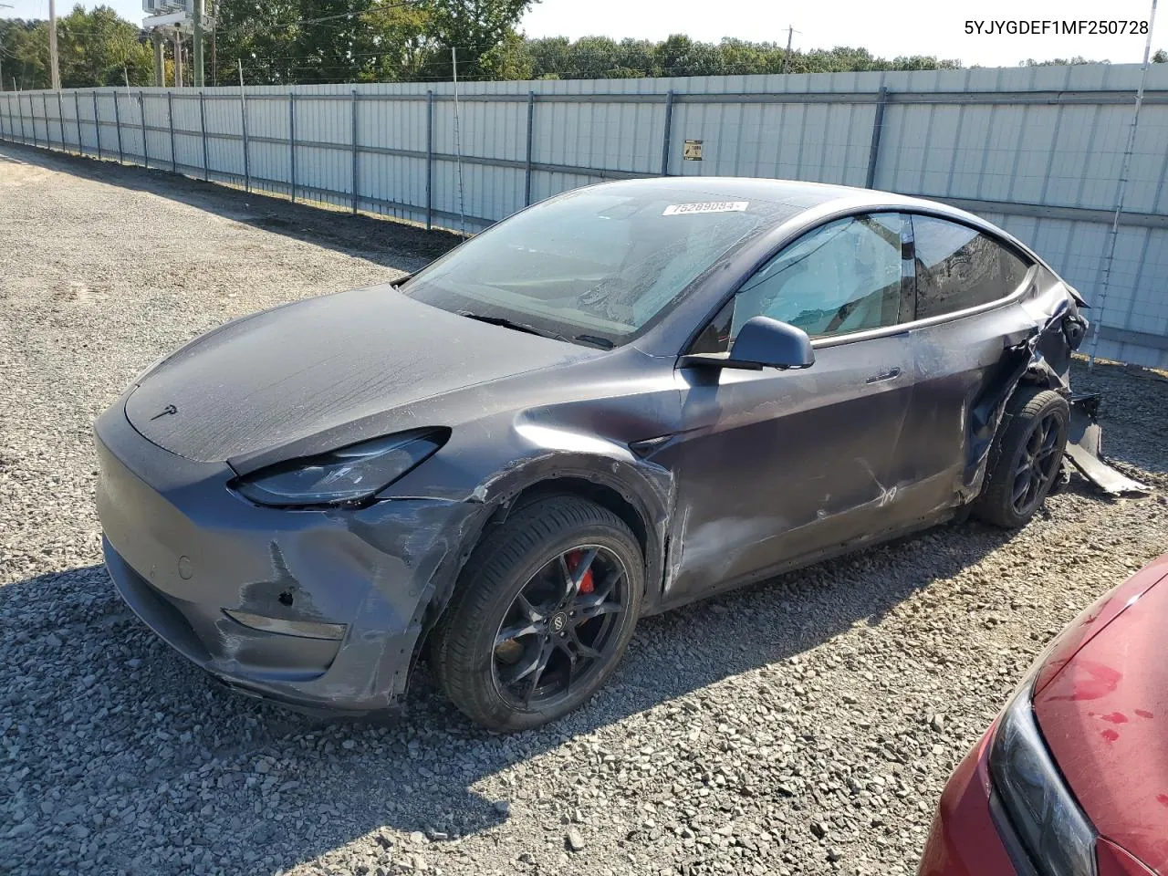 2021 Tesla Model Y VIN: 5YJYGDEF1MF250728 Lot: 75289084