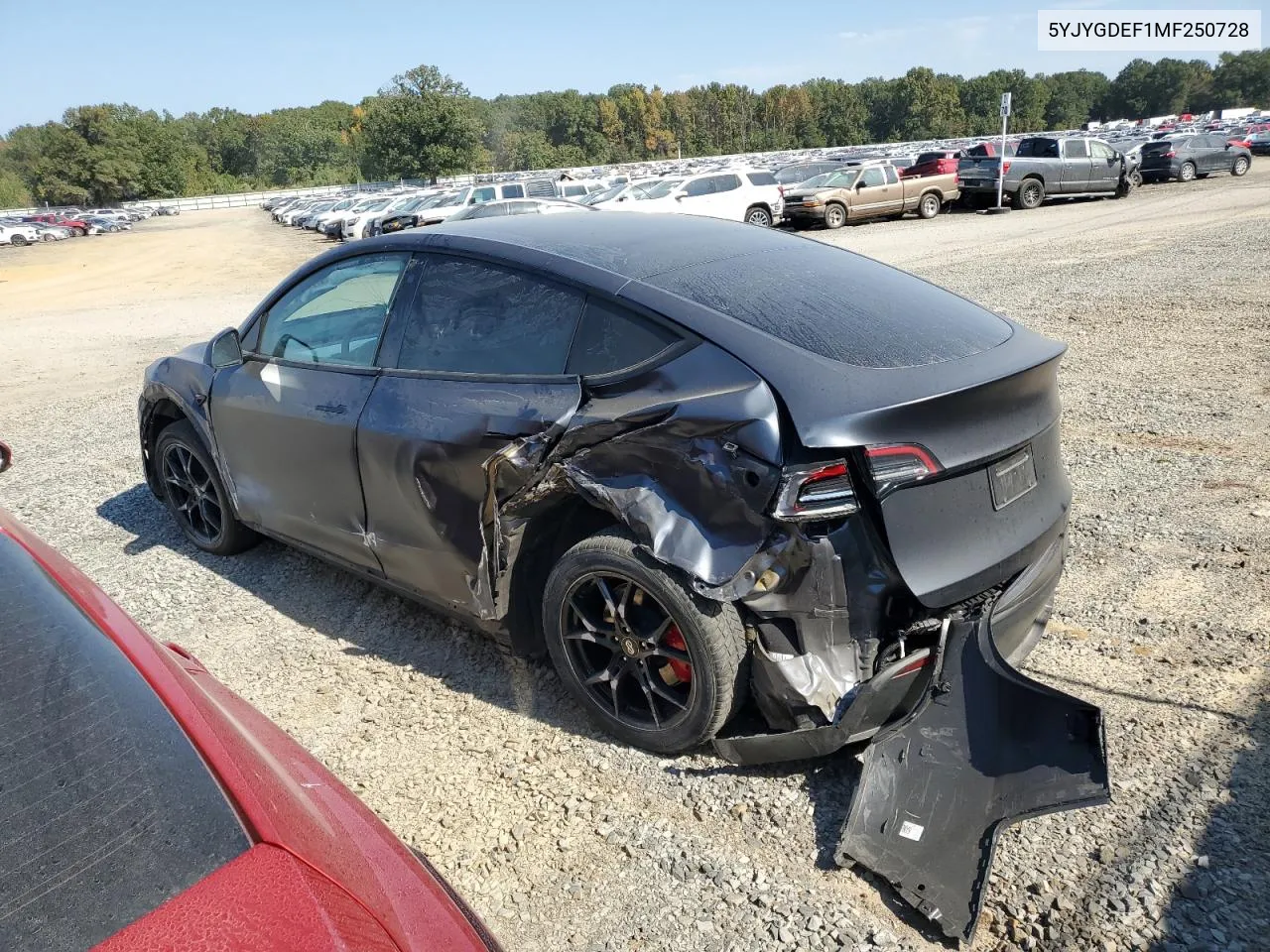 5YJYGDEF1MF250728 2021 Tesla Model Y