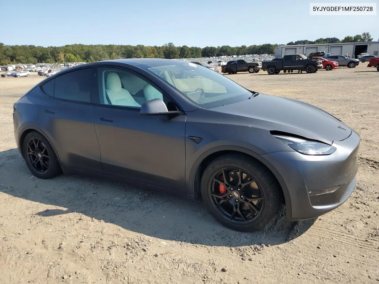 2021 Tesla Model Y VIN: 5YJYGDEF1MF250728 Lot: 75289084