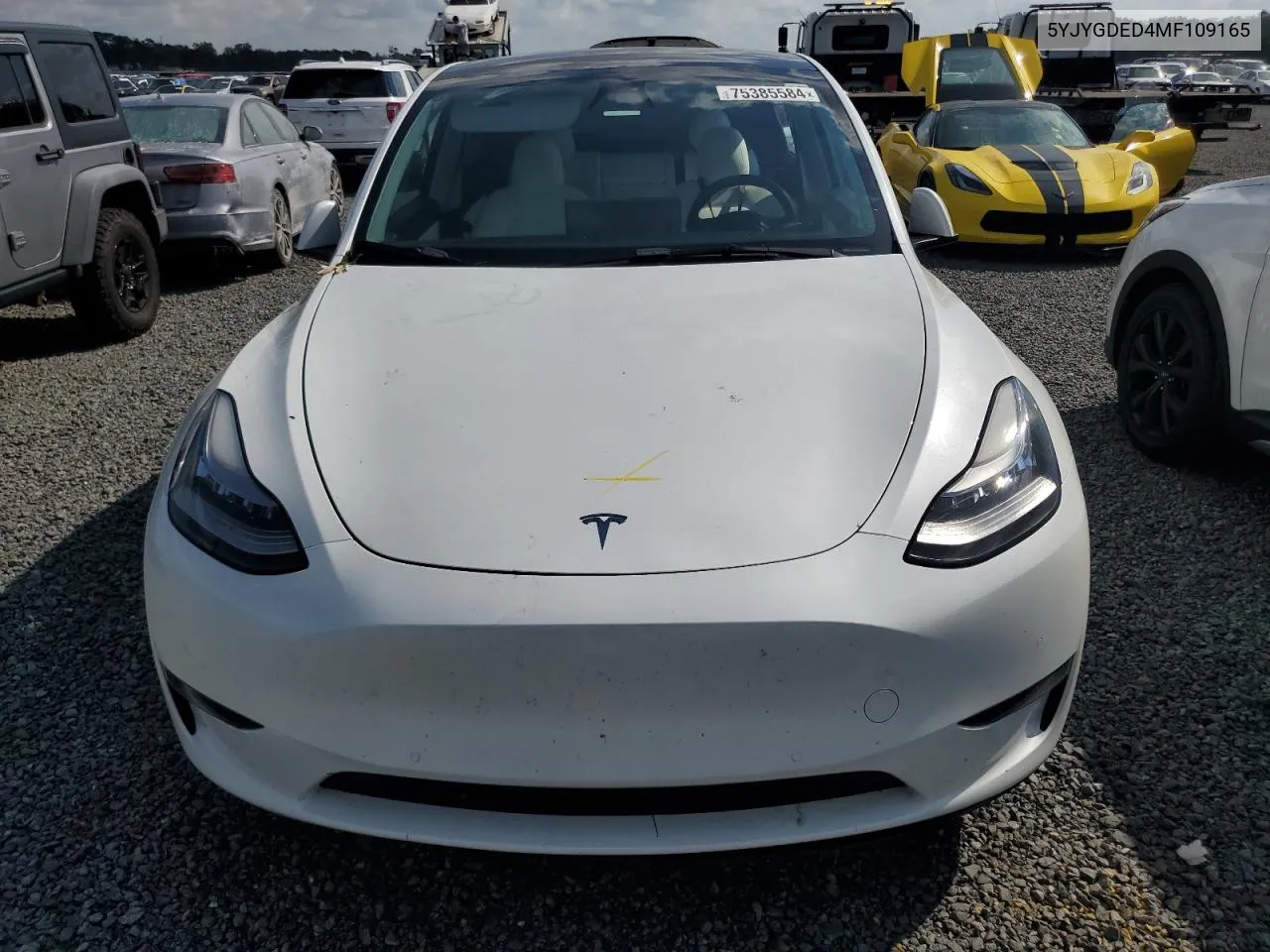 2021 Tesla Model Y VIN: 5YJYGDED4MF109165 Lot: 75385584