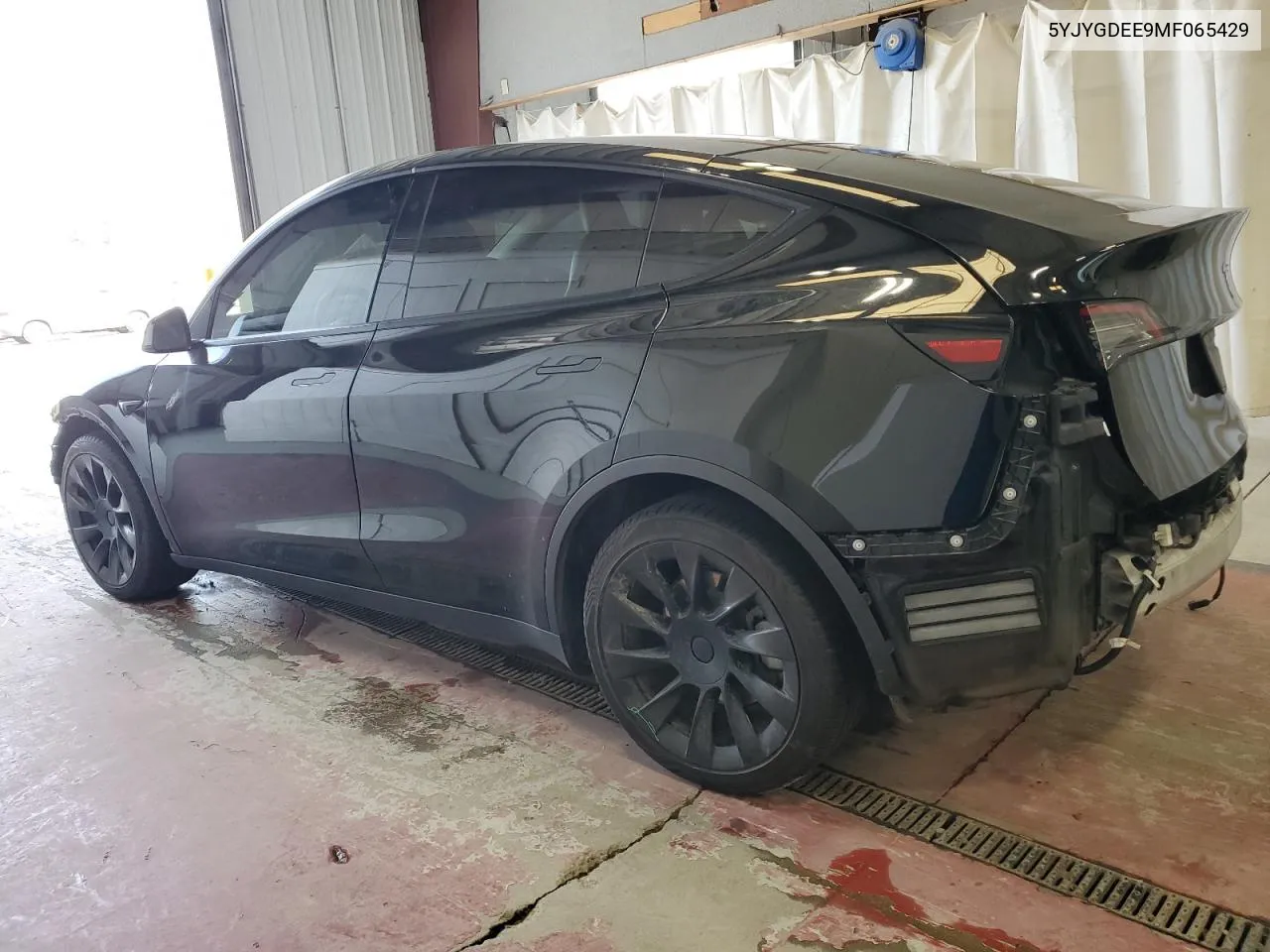 2021 Tesla Model Y VIN: 5YJYGDEE9MF065429 Lot: 75638254