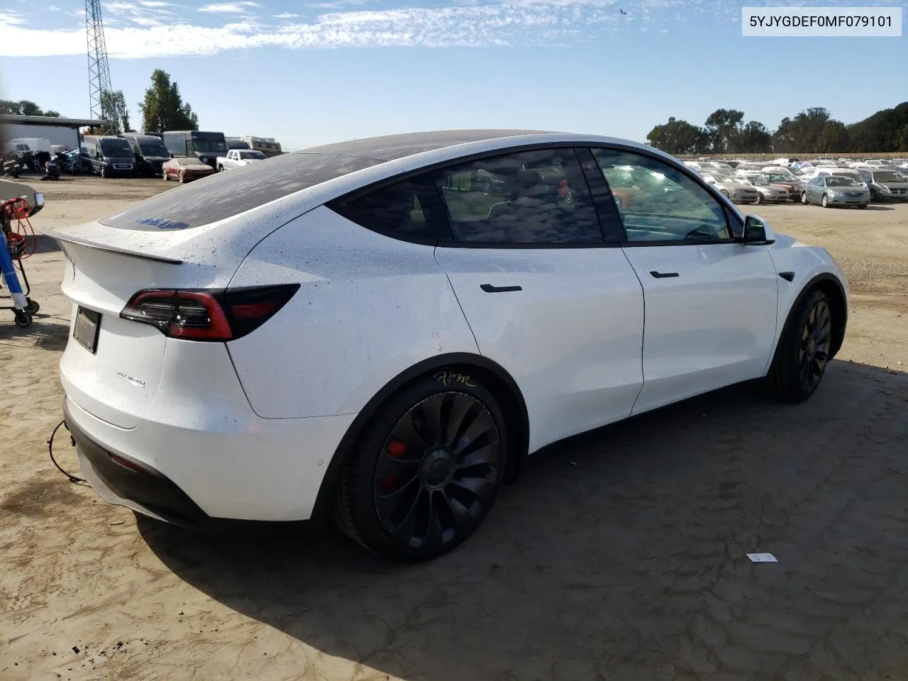 2021 Tesla Model Y VIN: 5YJYGDEF0MF079101 Lot: 77503264