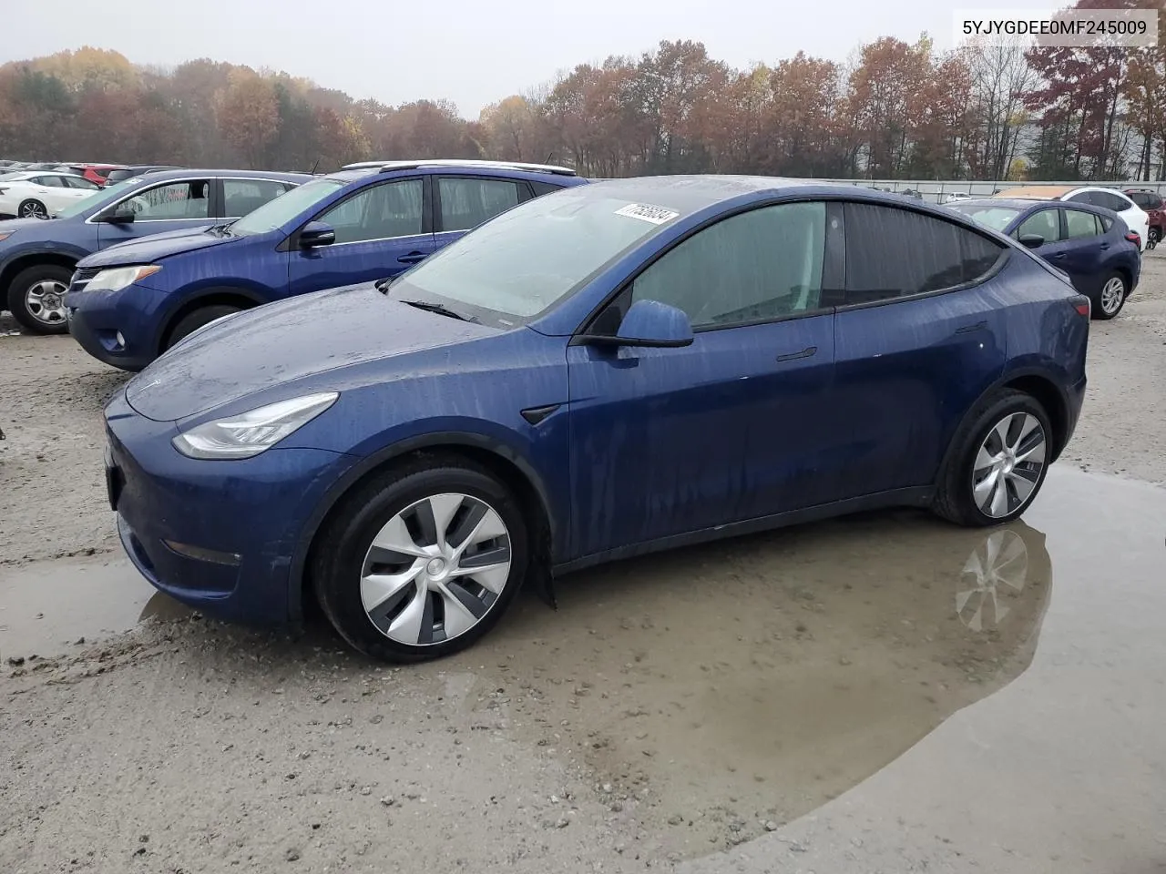 2021 Tesla Model Y VIN: 5YJYGDEE0MF245009 Lot: 77526034