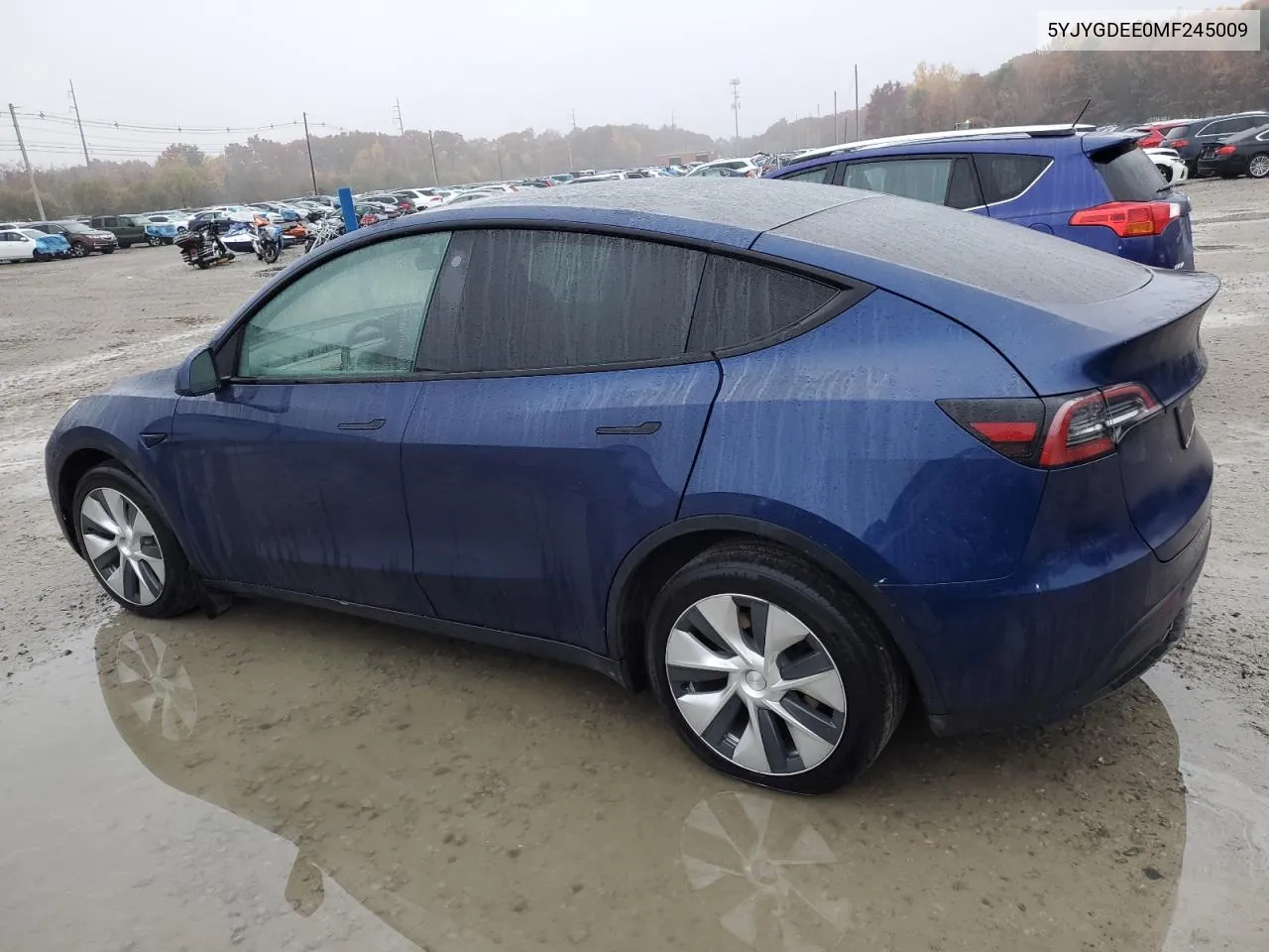 2021 Tesla Model Y VIN: 5YJYGDEE0MF245009 Lot: 77526034