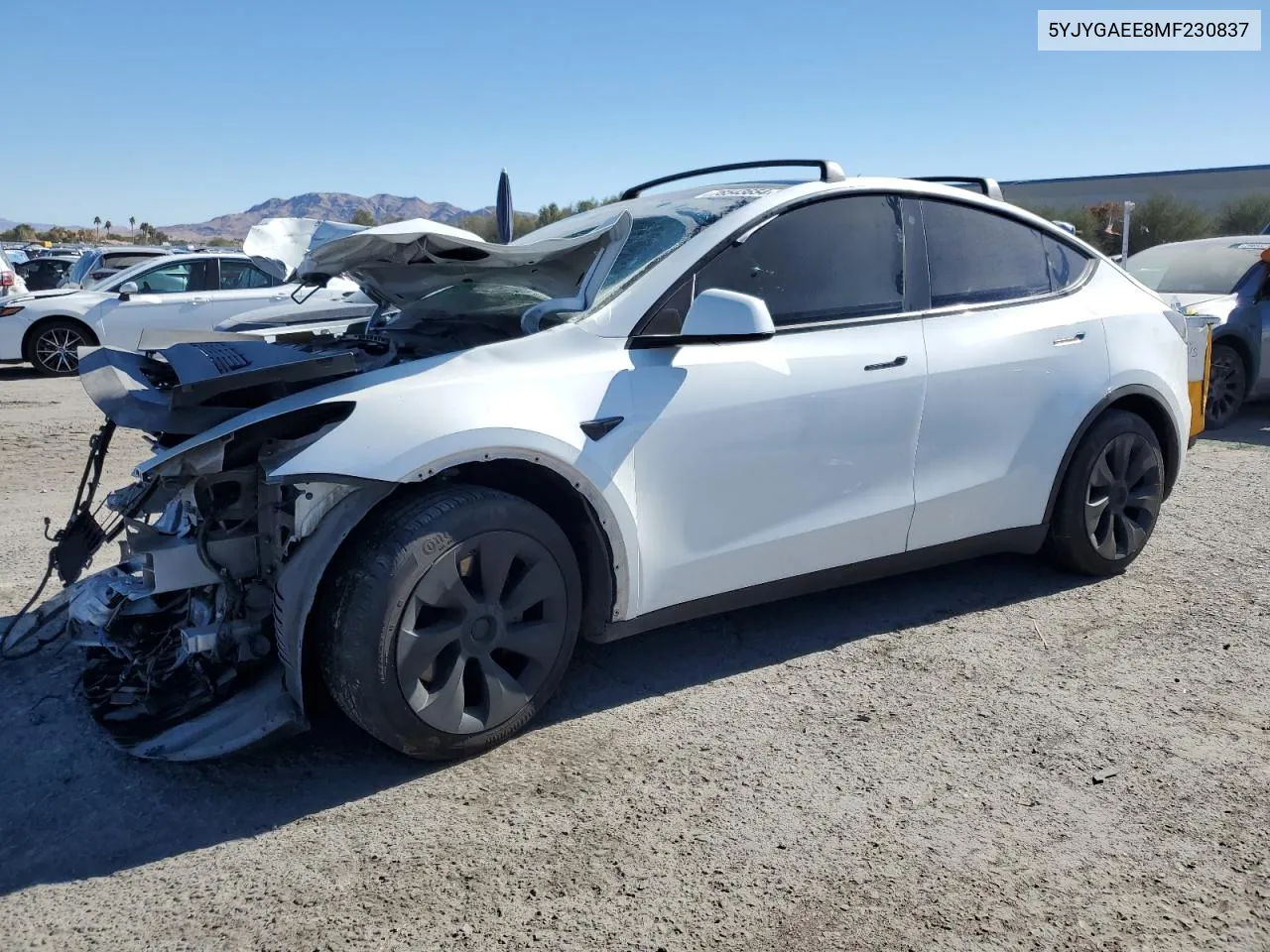 2021 Tesla Model Y VIN: 5YJYGAEE8MF230837 Lot: 78543654