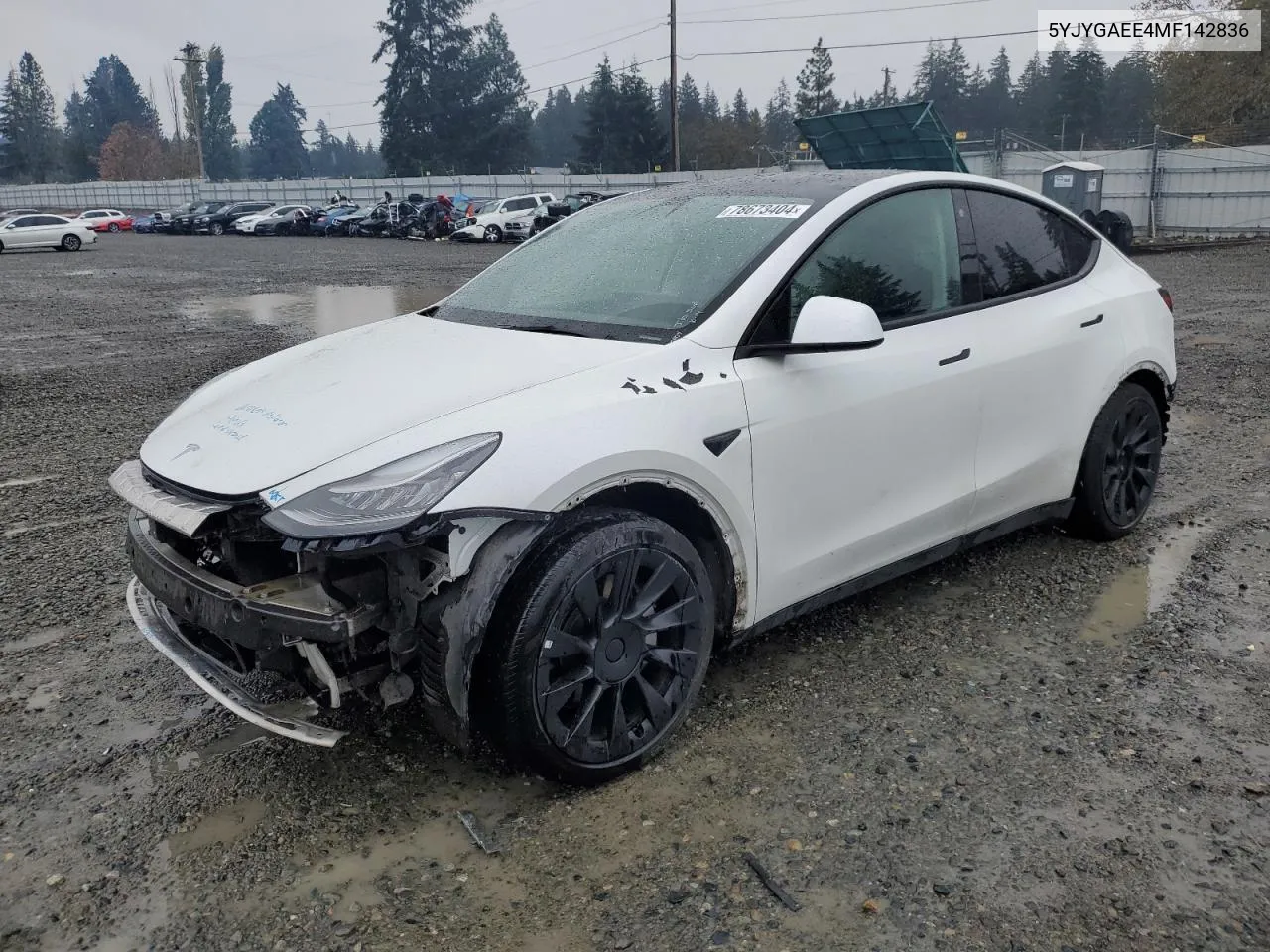 2021 Tesla Model Y VIN: 5YJYGAEE4MF142836 Lot: 78673404