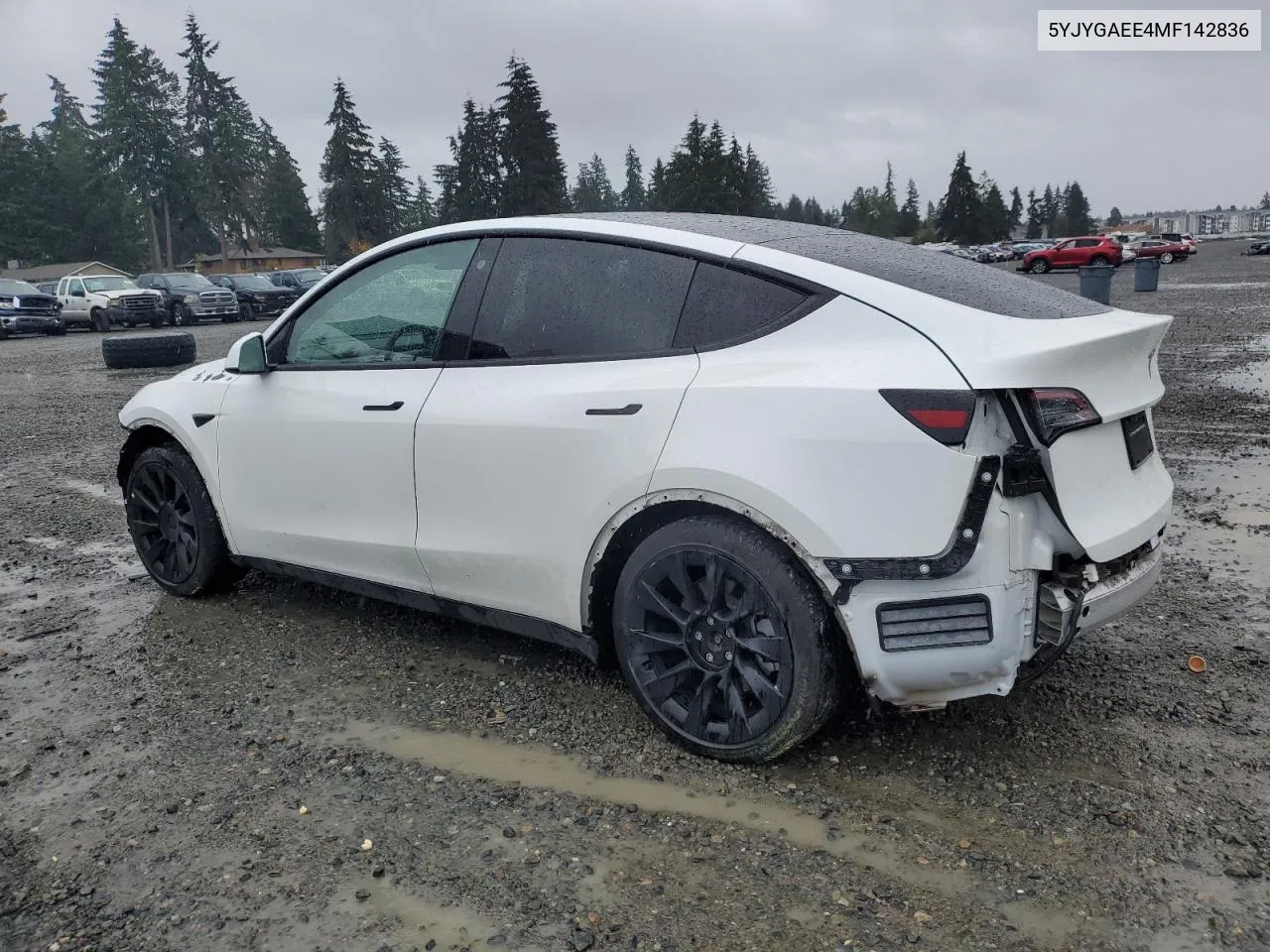 2021 Tesla Model Y VIN: 5YJYGAEE4MF142836 Lot: 78673404