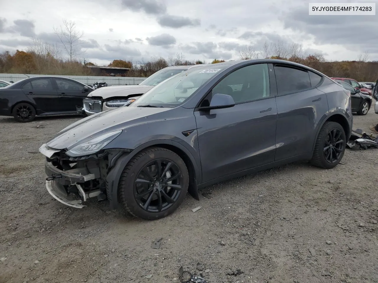 2021 Tesla Model Y VIN: 5YJYGDEE4MF174283 Lot: 78814454