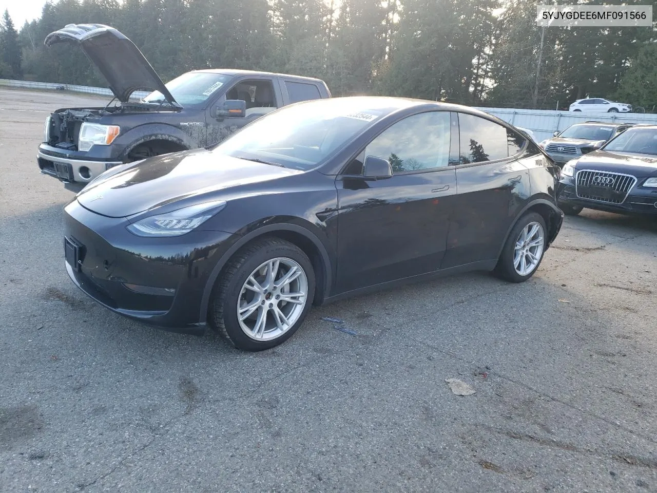 2021 Tesla Model Y VIN: 5YJYGDEE6MF091566 Lot: 79232544