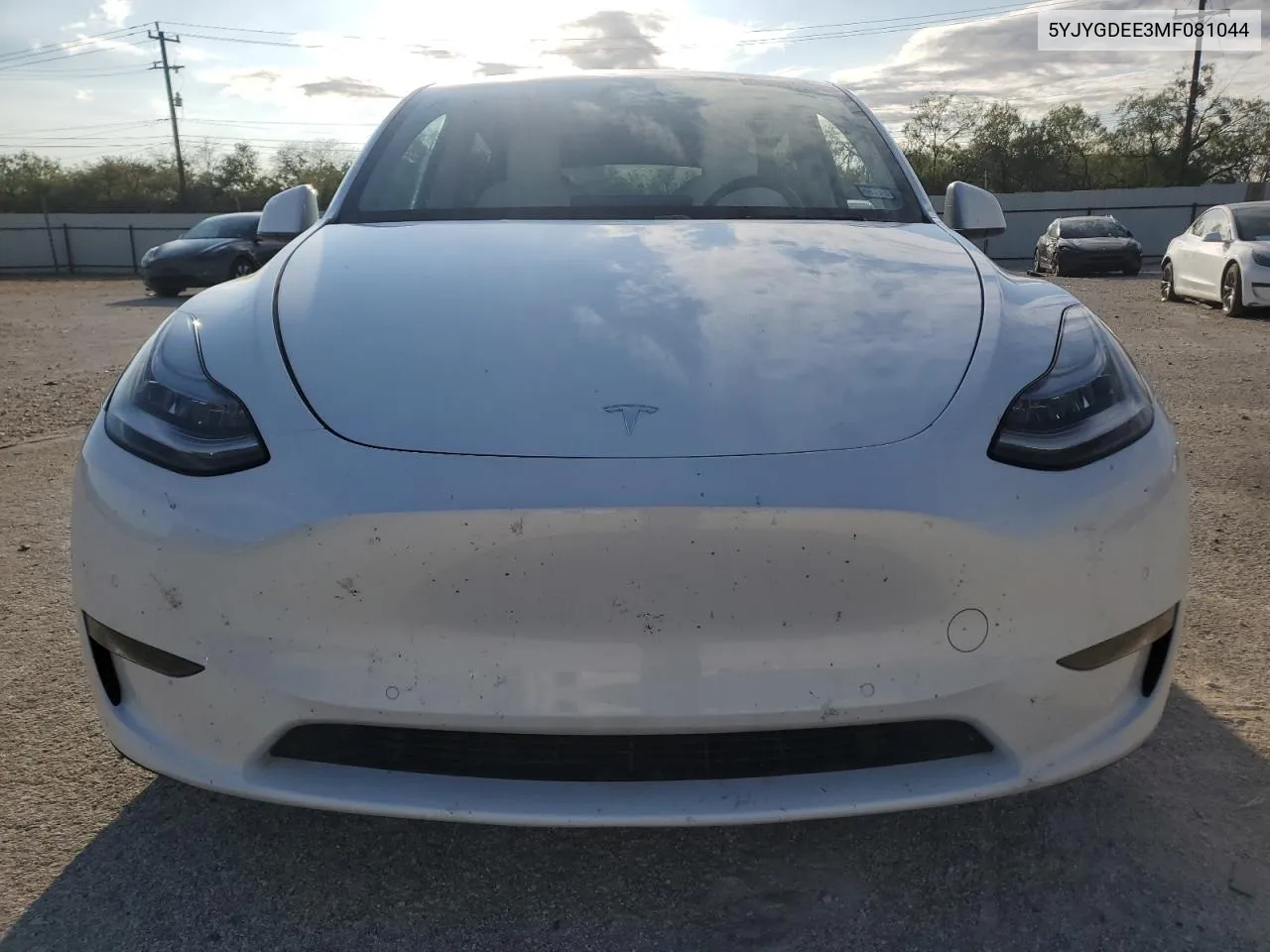 2021 Tesla Model Y VIN: 5YJYGDEE3MF081044 Lot: 79405684