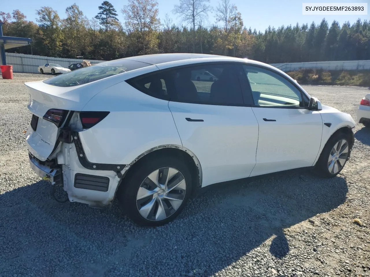 2021 Tesla Model Y VIN: 5YJYGDEE5MF263893 Lot: 80616134