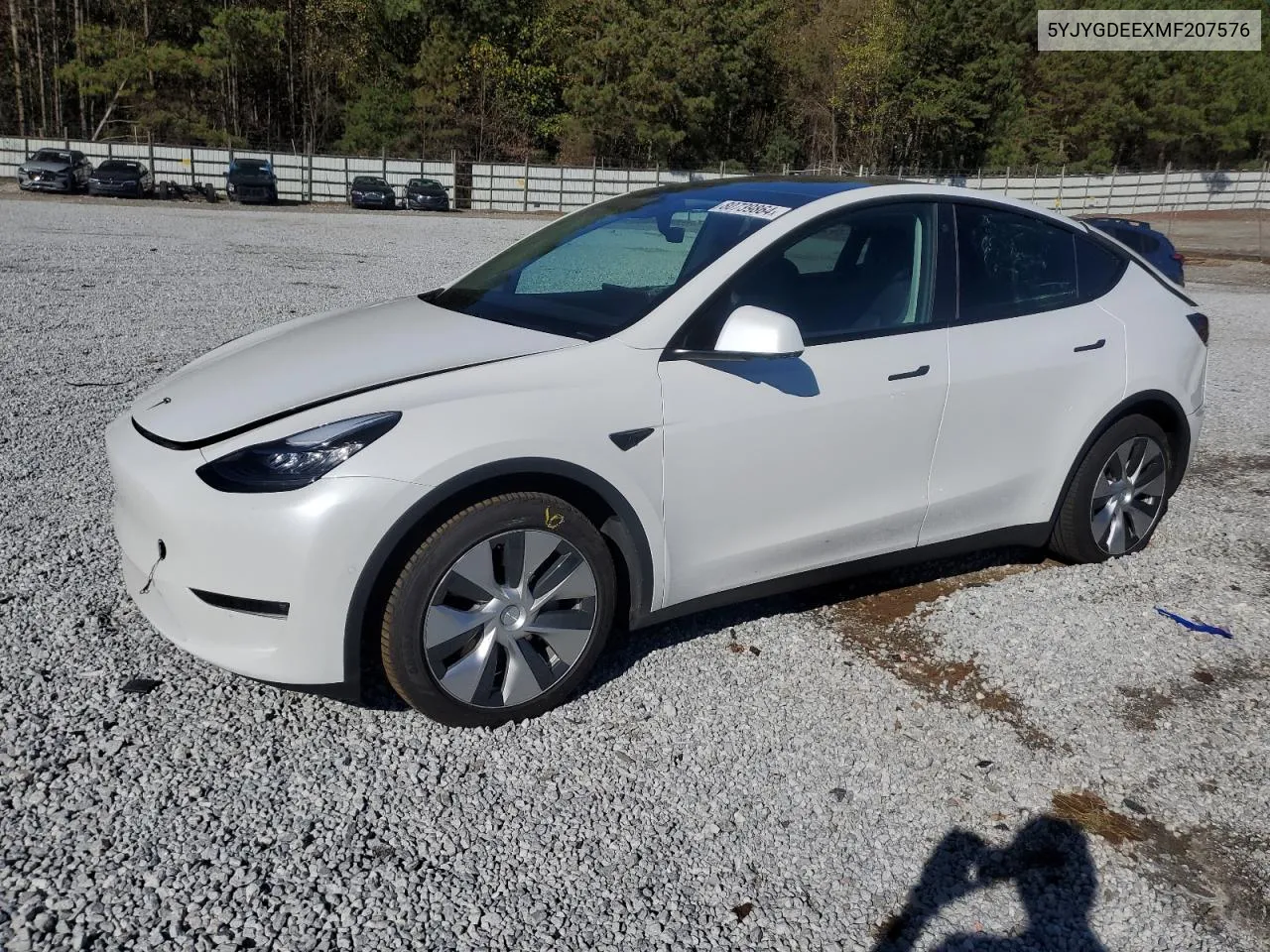 2021 Tesla Model Y VIN: 5YJYGDEEXMF207576 Lot: 80739864