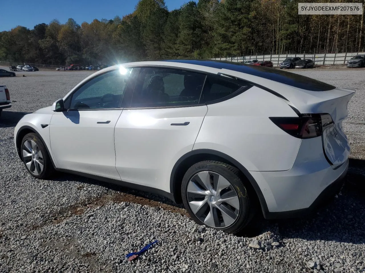 2021 Tesla Model Y VIN: 5YJYGDEEXMF207576 Lot: 80739864