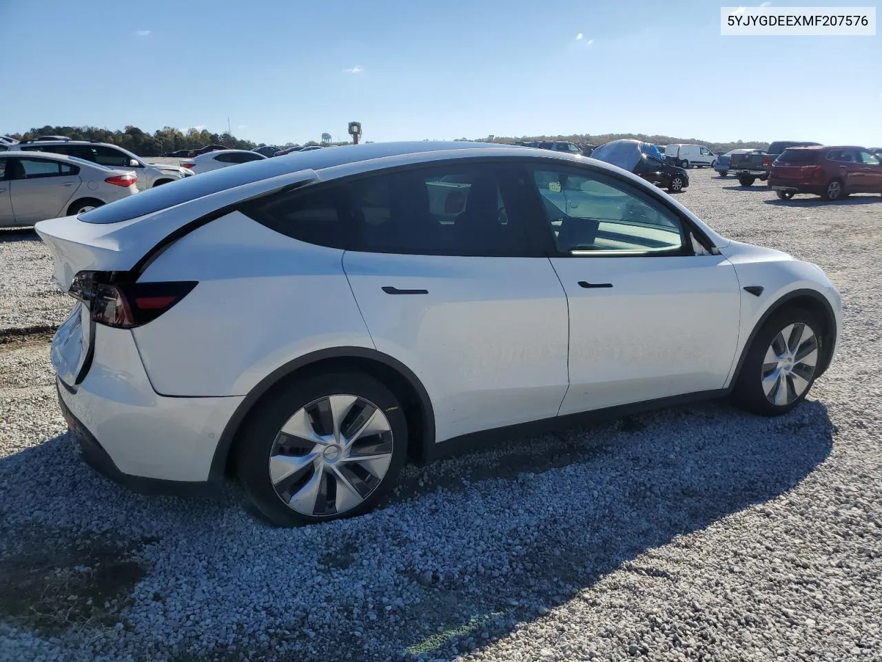 2021 Tesla Model Y VIN: 5YJYGDEEXMF207576 Lot: 80739864